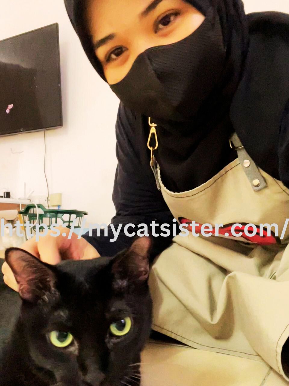 Cat Sitter Shah Alam | Cat Sitter Near Me 's image