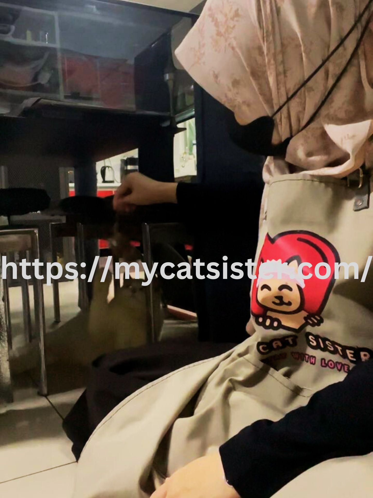 Cat Sitter Shah Alam | Cat Sitter Near Me 's image