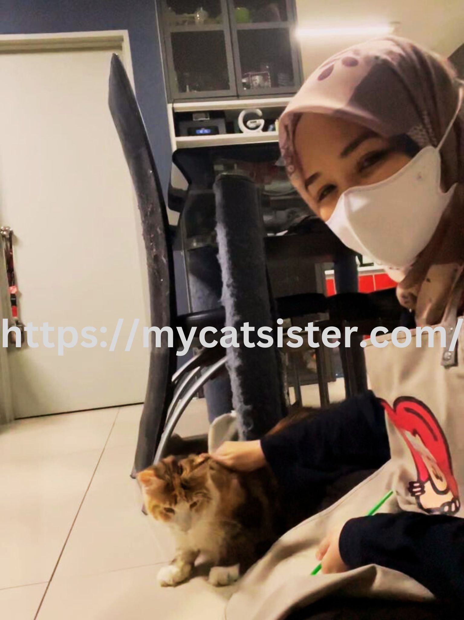 Cat Sitter Shah Alam | Cat Sitter Near Me 's image