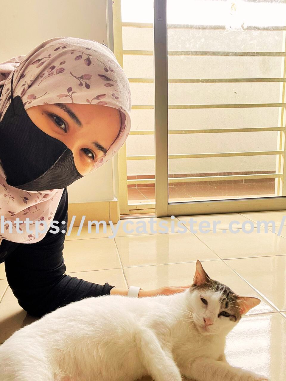 Cat Sitter Shah Alam | Cat Sitter Near Me 's image