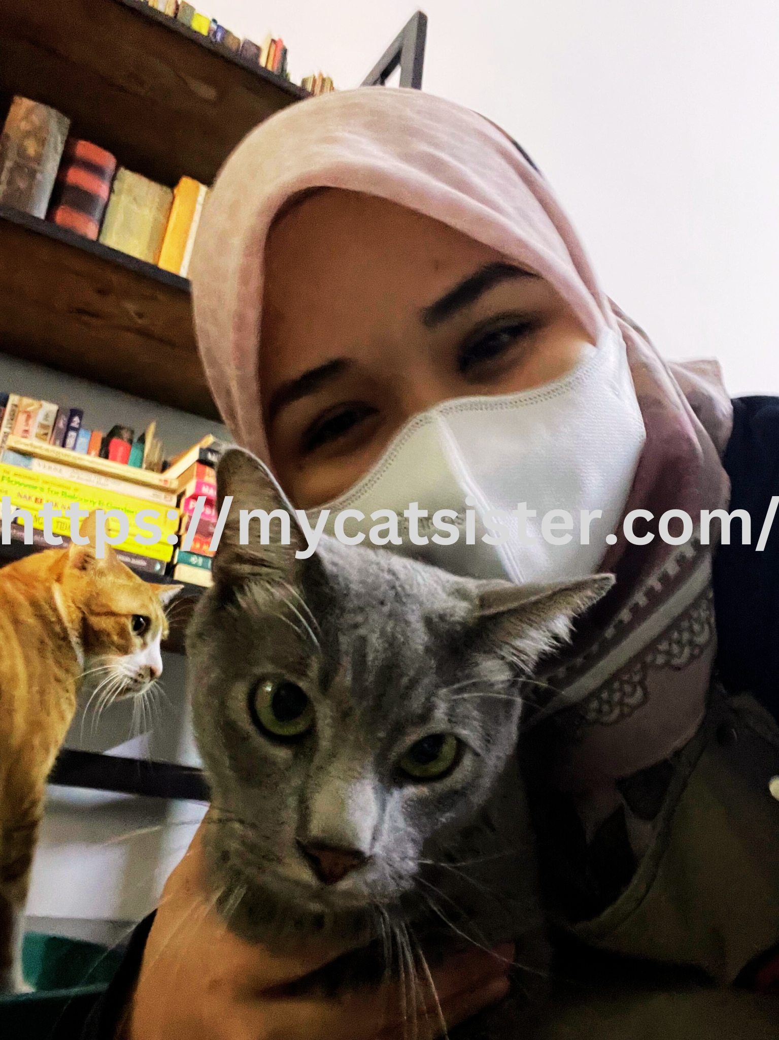 Cat Sitter Shah Alam | Cat Sitter Near Me 's image