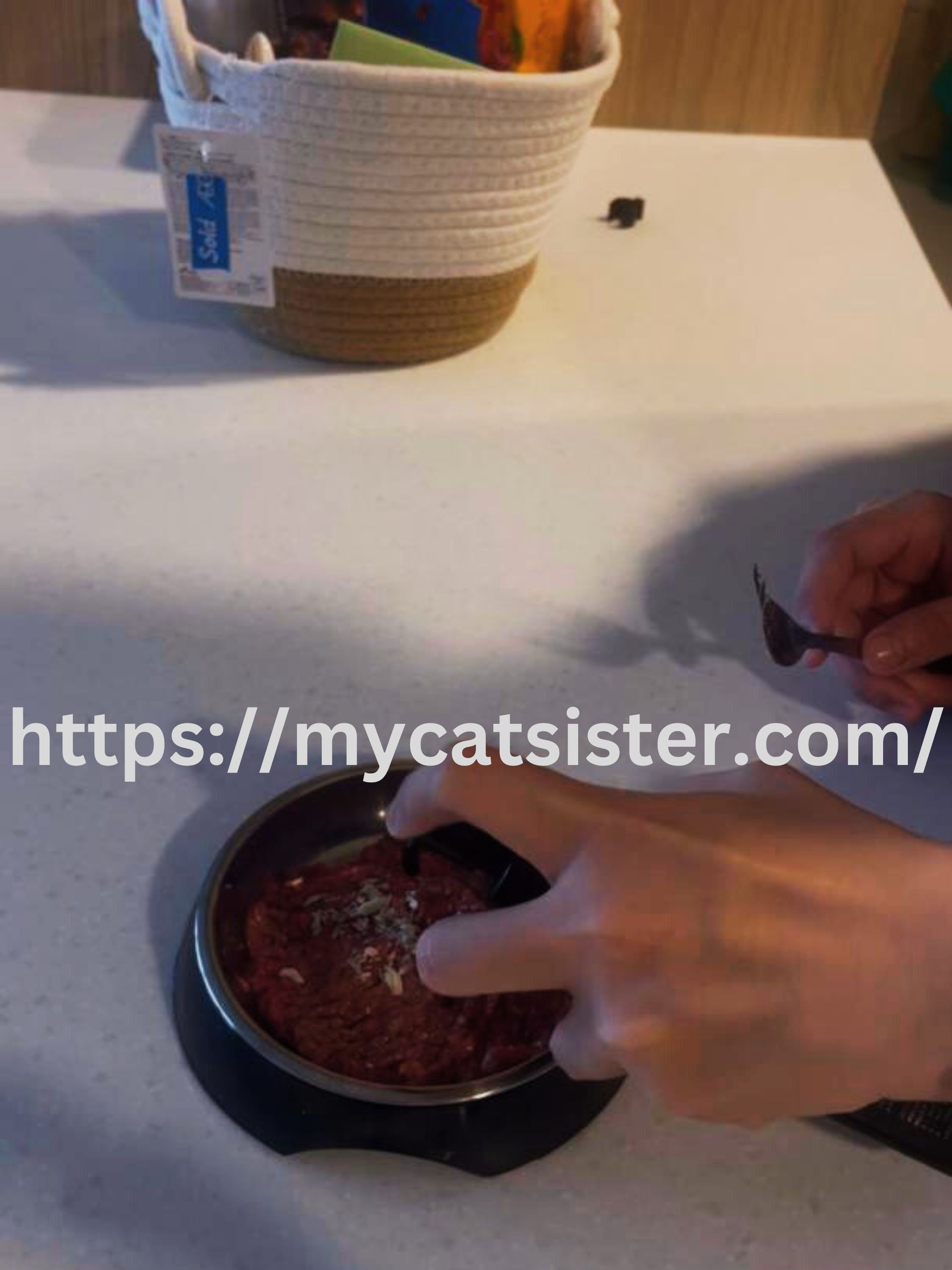 Cat Sitter Shah Alam | Cat Sitter Near Me 's image