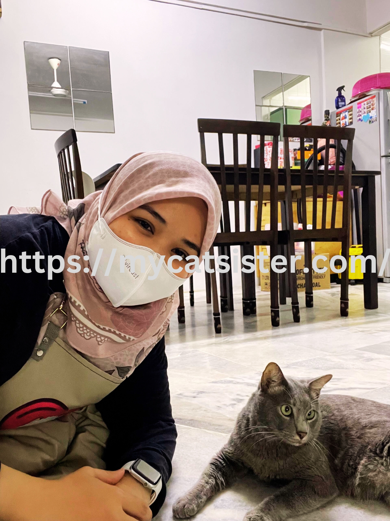 Cat Sitter Shah Alam | Cat Sitter Near Me 's image