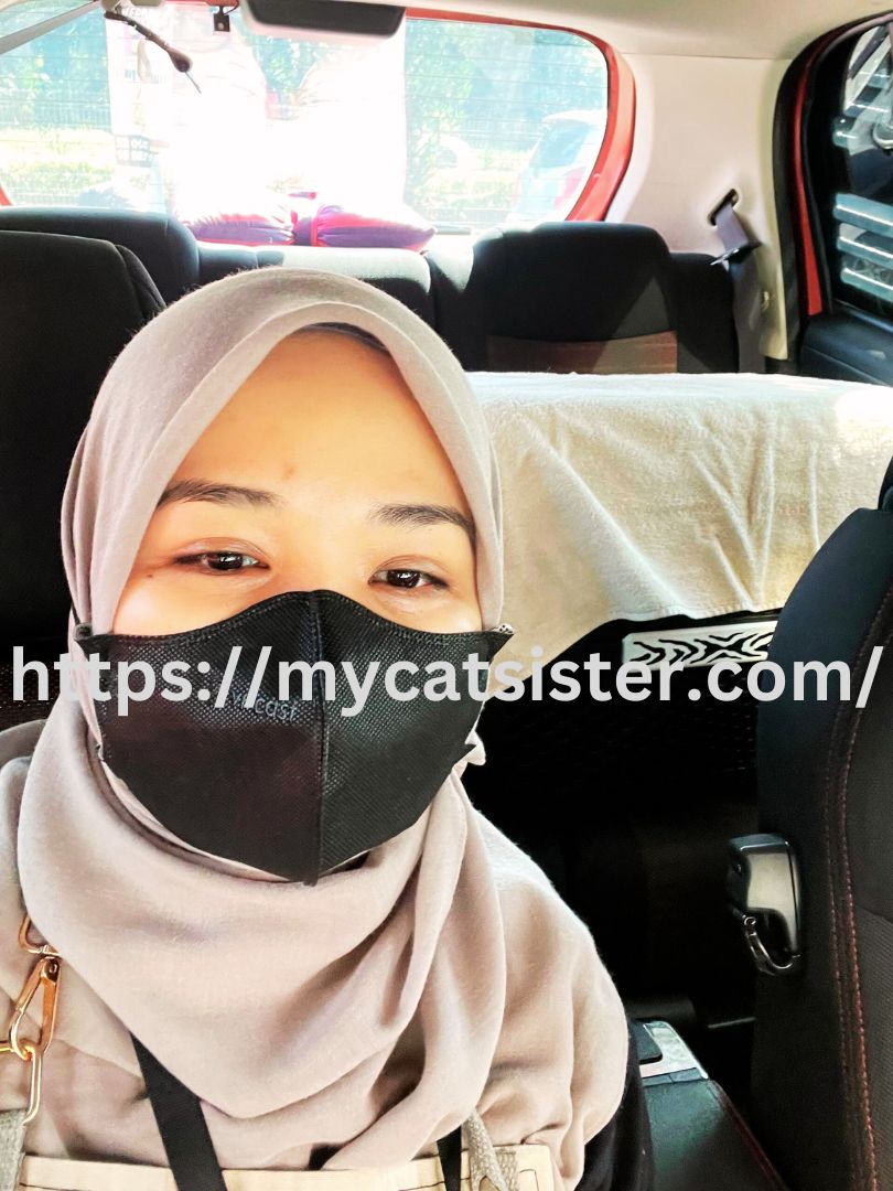 Cat Sitter Shah Alam | Cat Sitter Near Me 's image