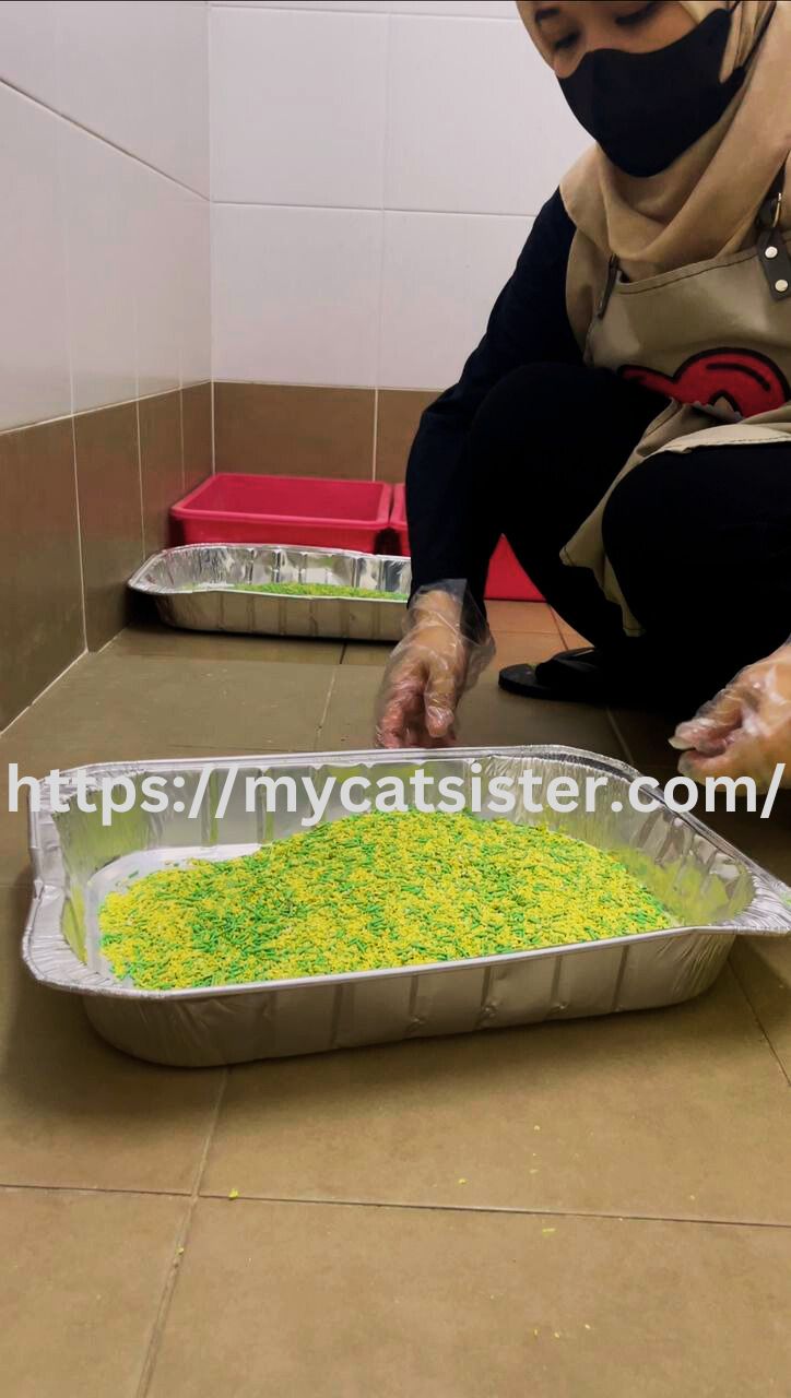 Cat Sitter Shah Alam | Cat Sitter Near Me 's image