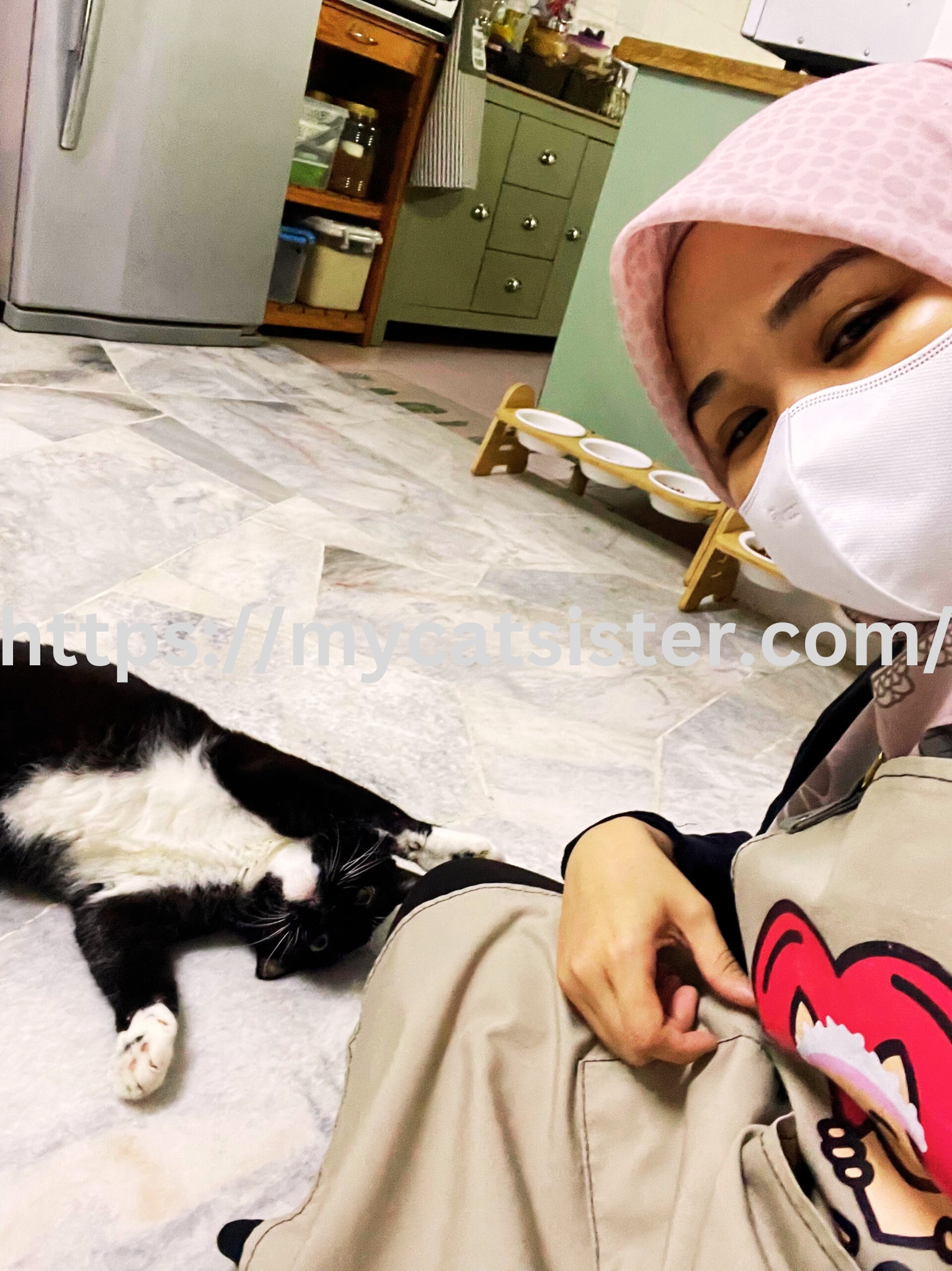 Cat Sitter Shah Alam | Cat Sitter Near Me 's image
