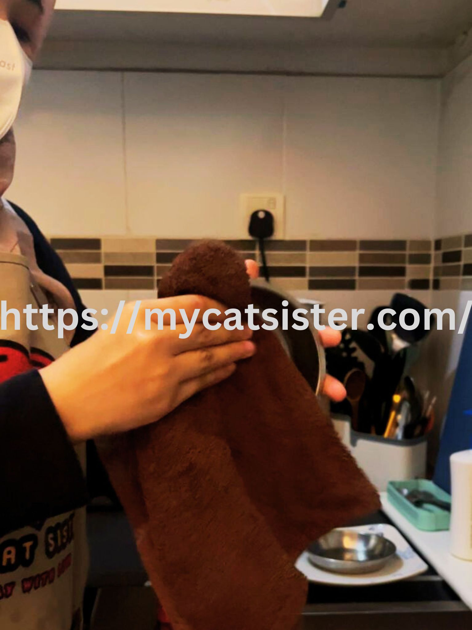 Cat Sitter Shah Alam | Cat Sitter Near Me 's image