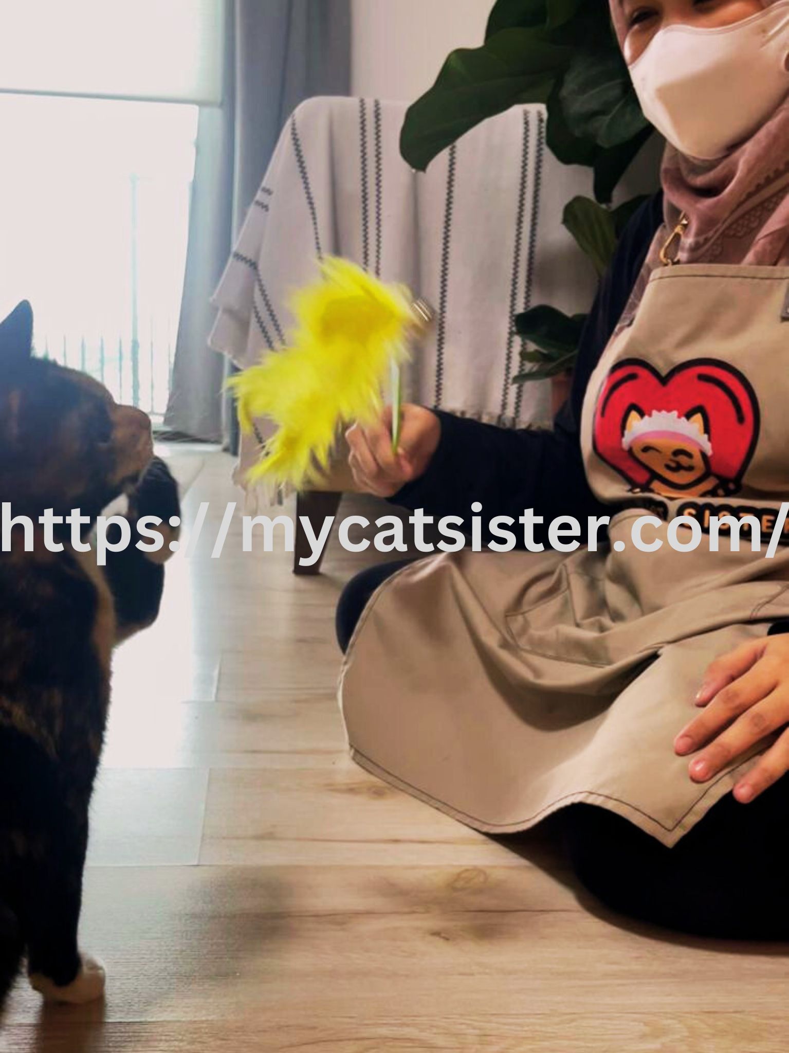 Cat Sitter Shah Alam | Cat Sitter Near Me 's image