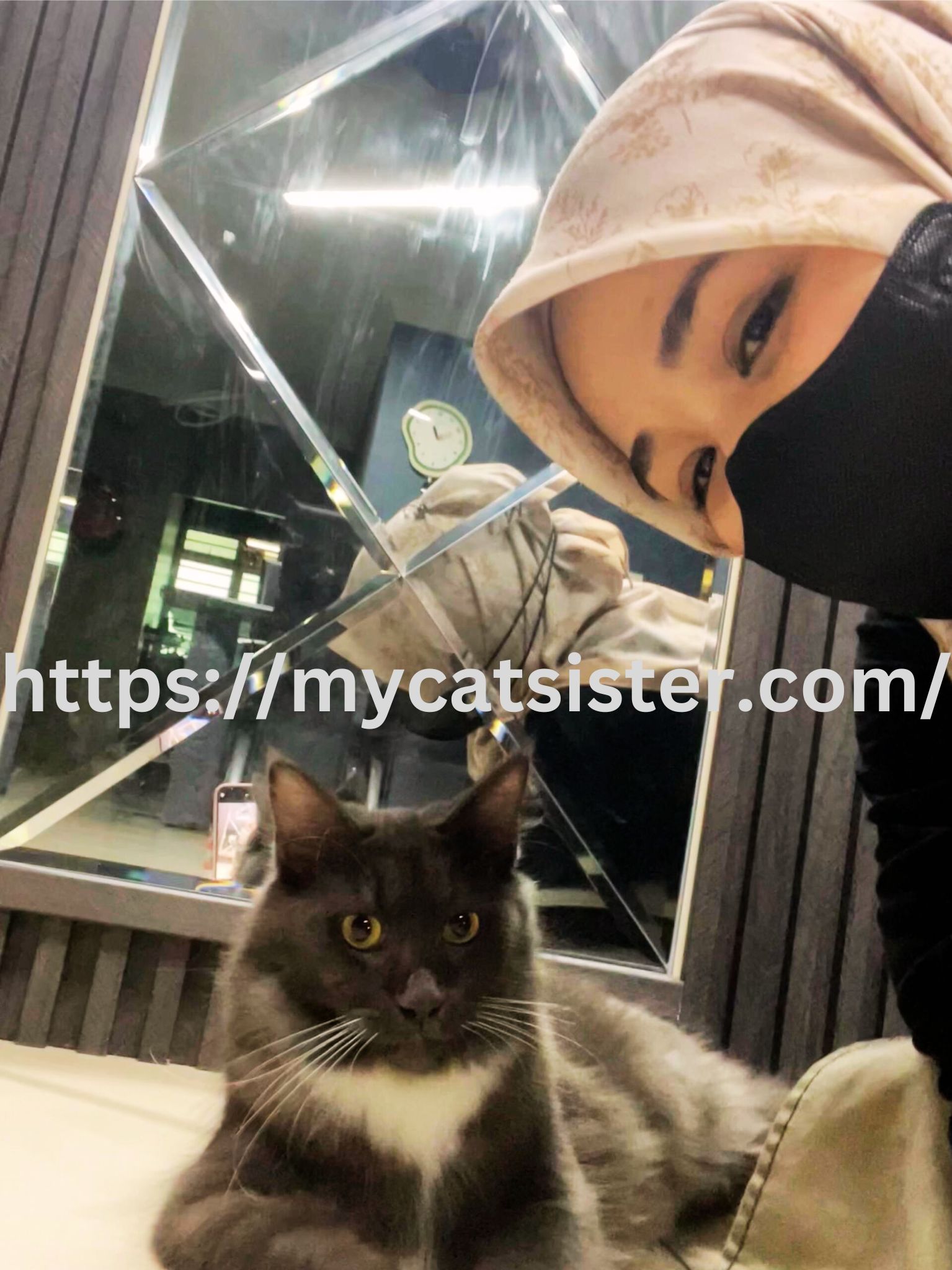 Cat Sitter Shah Alam | Cat Sitter Near Me 's image