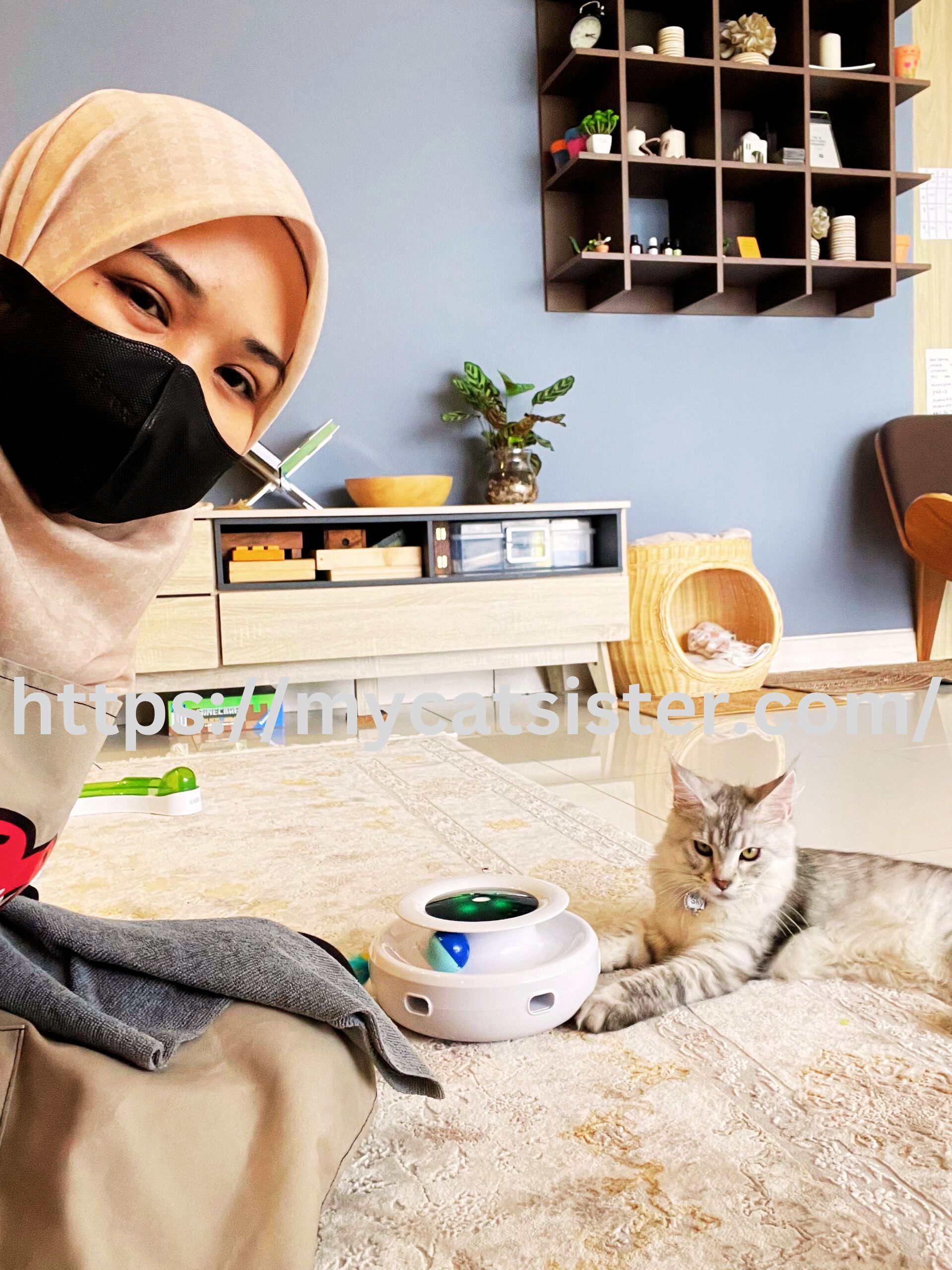 Cat Sitter Shah Alam | Cat Sitter Near Me 's image