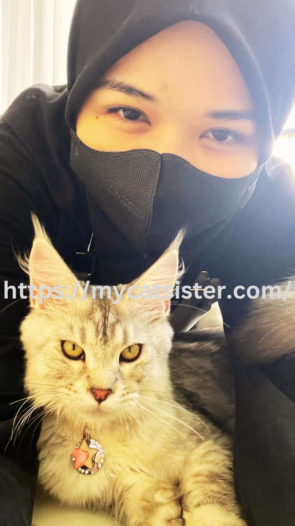 Cat Sitter Shah Alam | Cat Sitter Near Me 's image