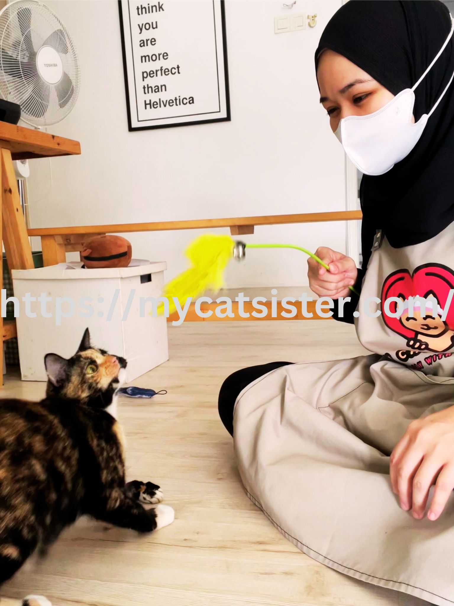 Cat Sitter Shah Alam | Cat Sitter Near Me 's image