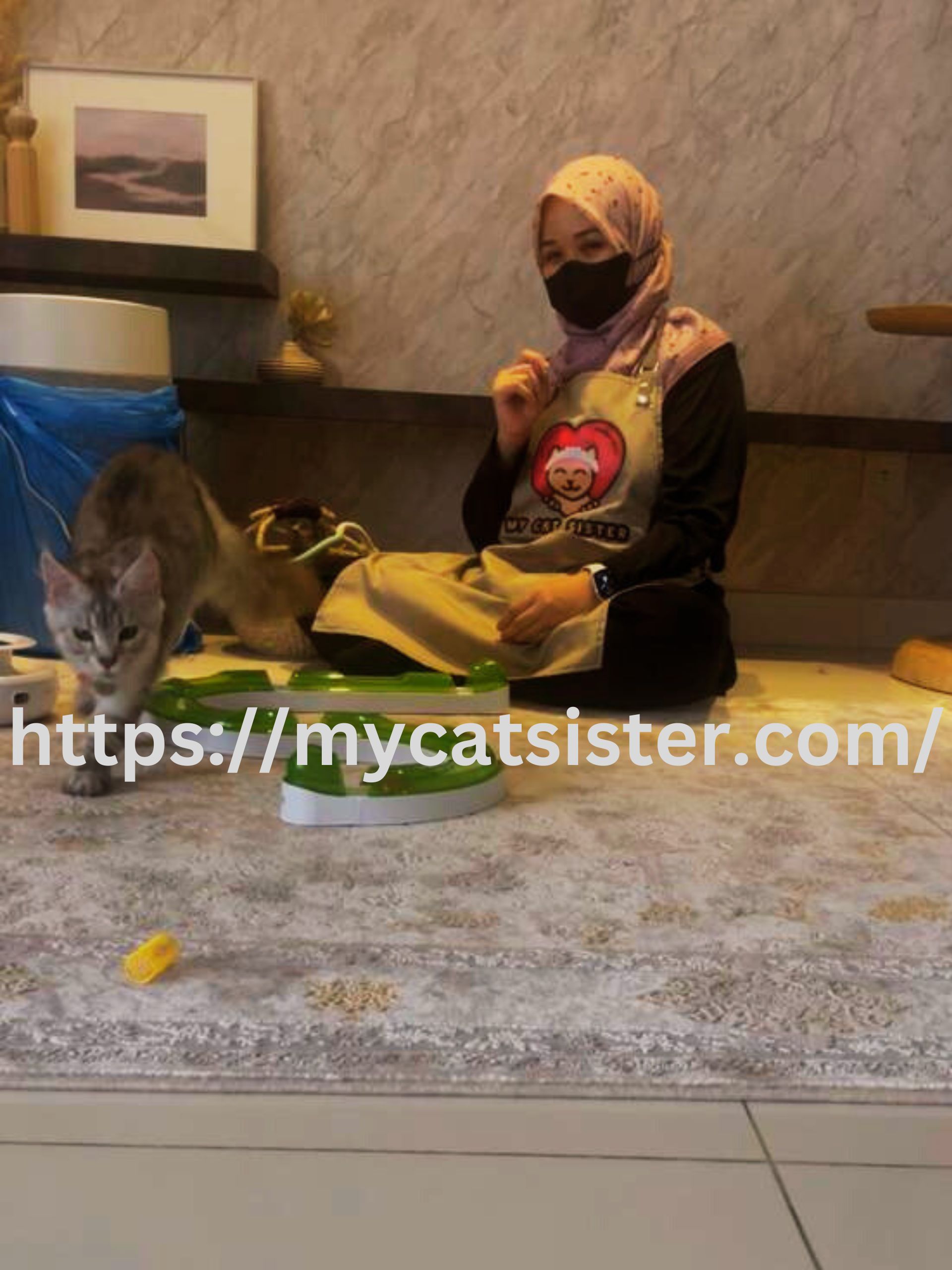 Cat Sitter Shah Alam | Cat Sitter Near Me 's image