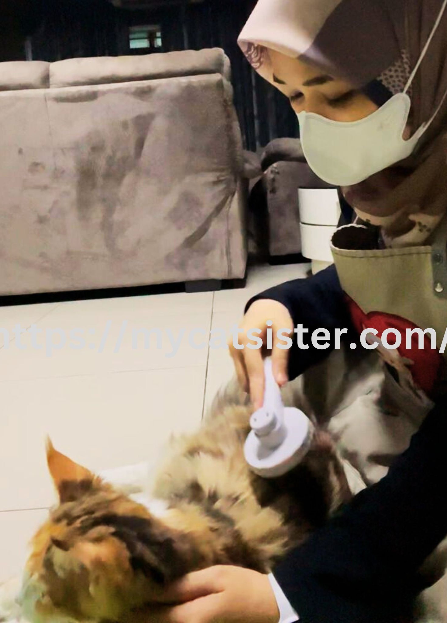 Cat Sitter Shah Alam | Cat Sitter Near Me 's image