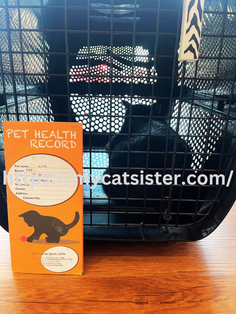 Cat Sitter Shah Alam | Cat Sitter Near Me 's image