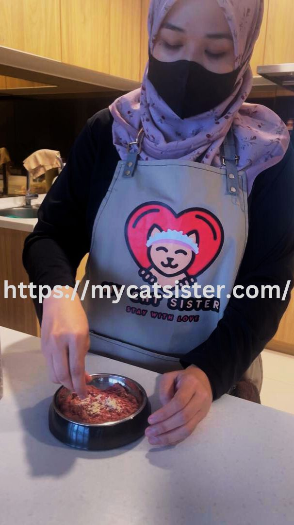 Cat Sitter Shah Alam | Cat Sitter Near Me 's image