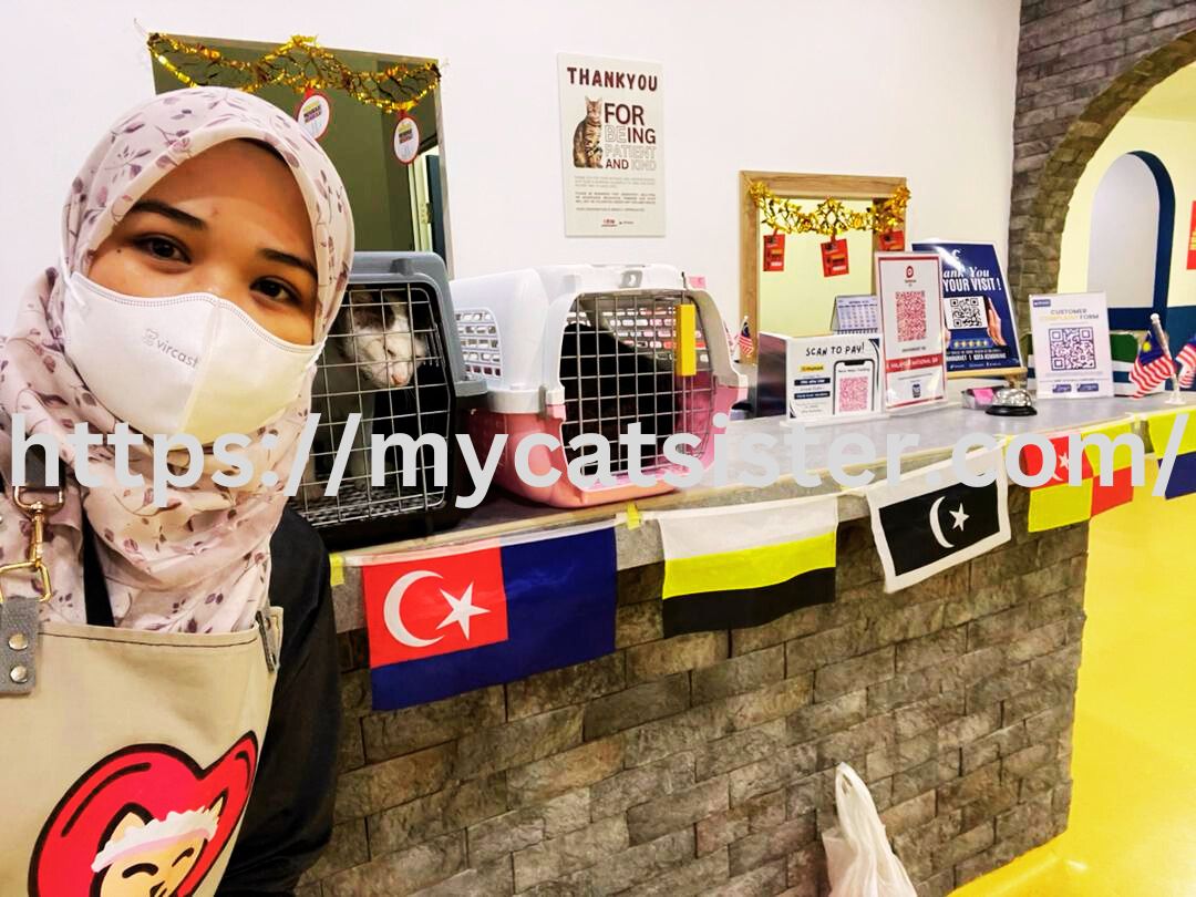 Cat Sitter Shah Alam | Cat Sitter Near Me 's image