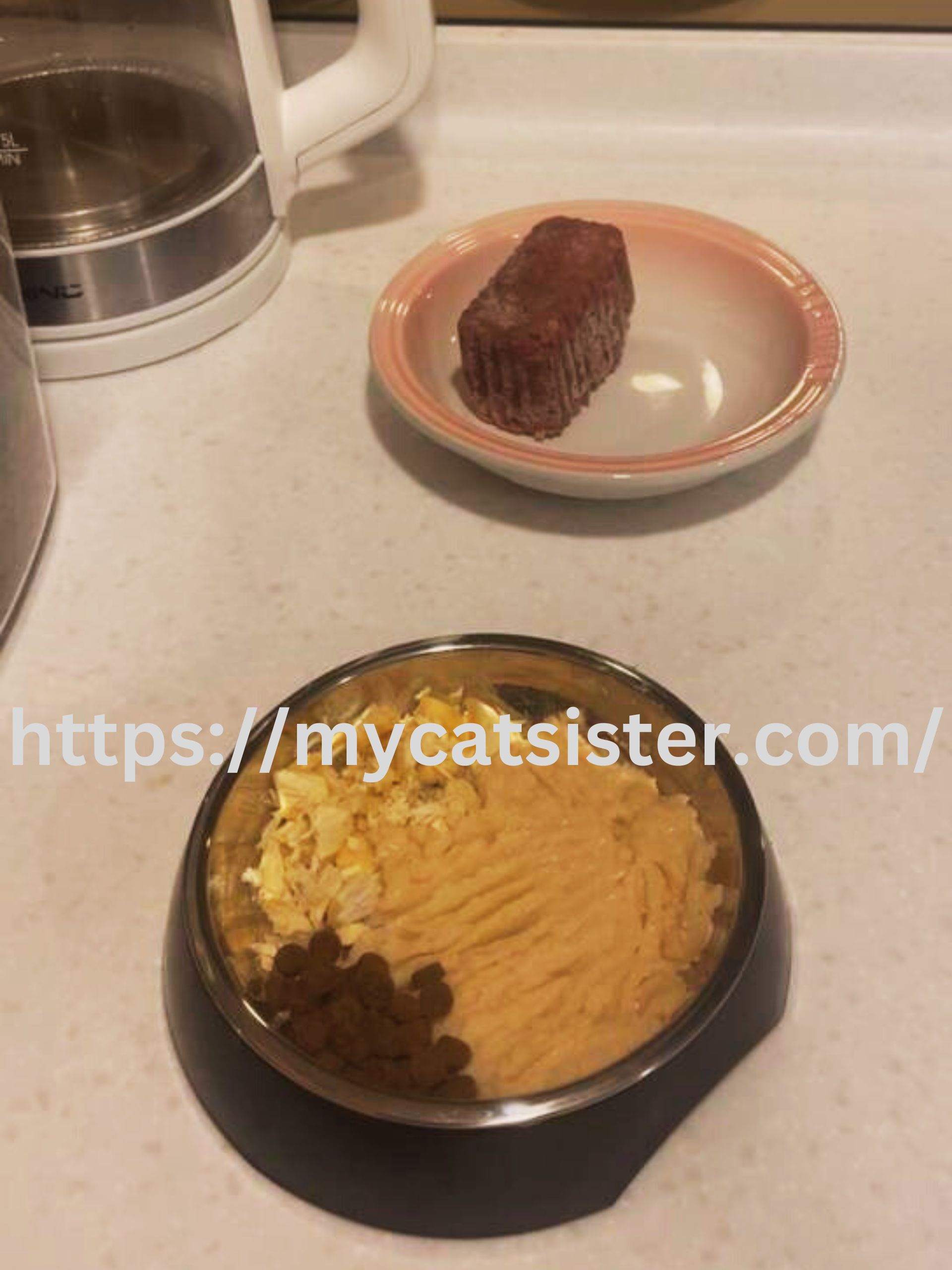 Cat Sitter Shah Alam | Cat Sitter Near Me 's image