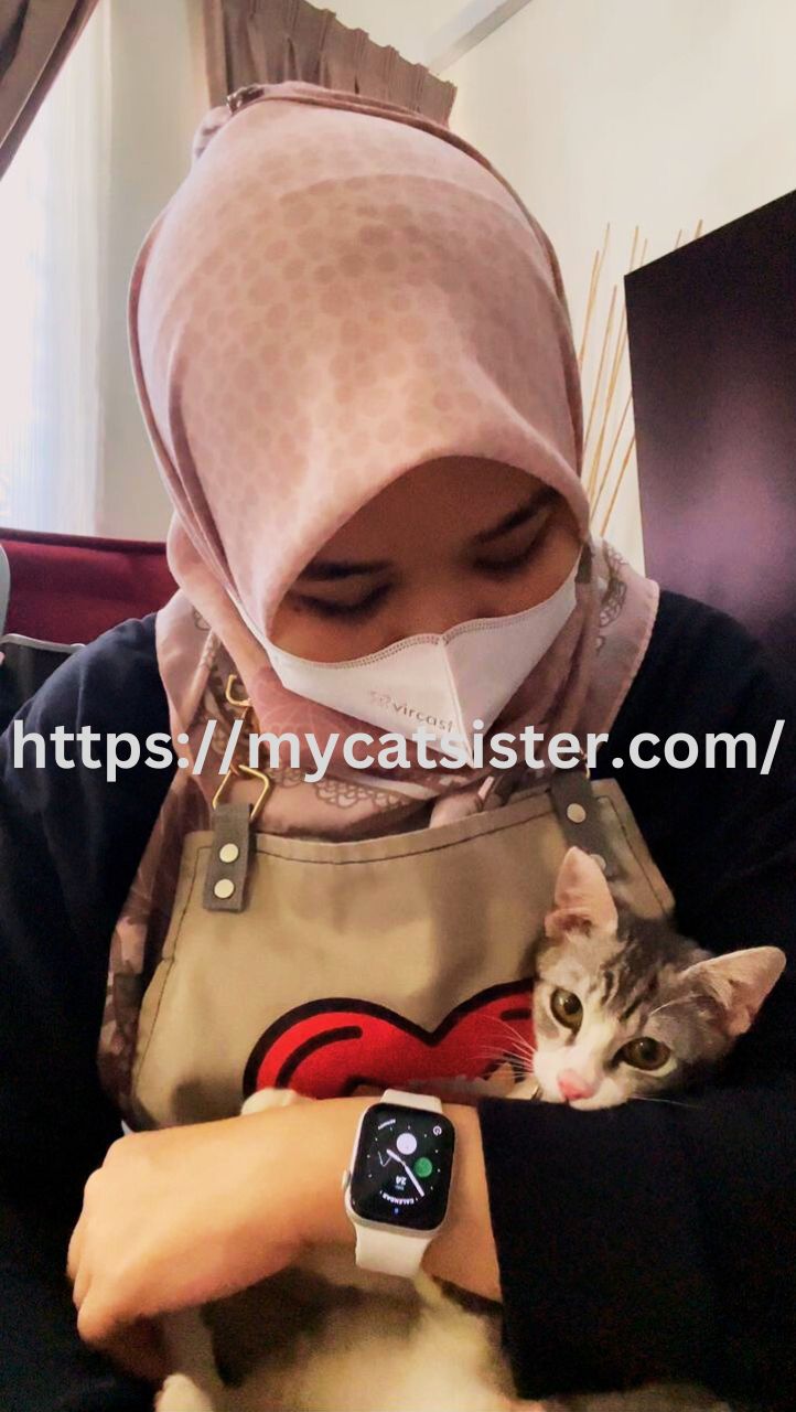 Cat Sitter Shah Alam | Cat Sitter Near Me 's image