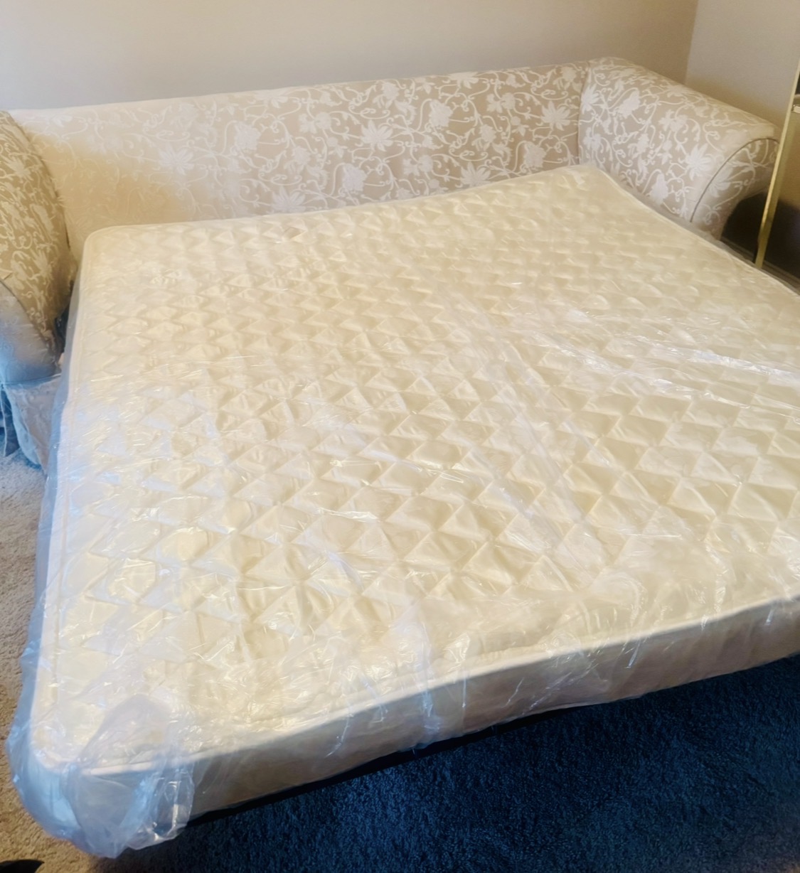 DanObe Foundation Inc. 's image