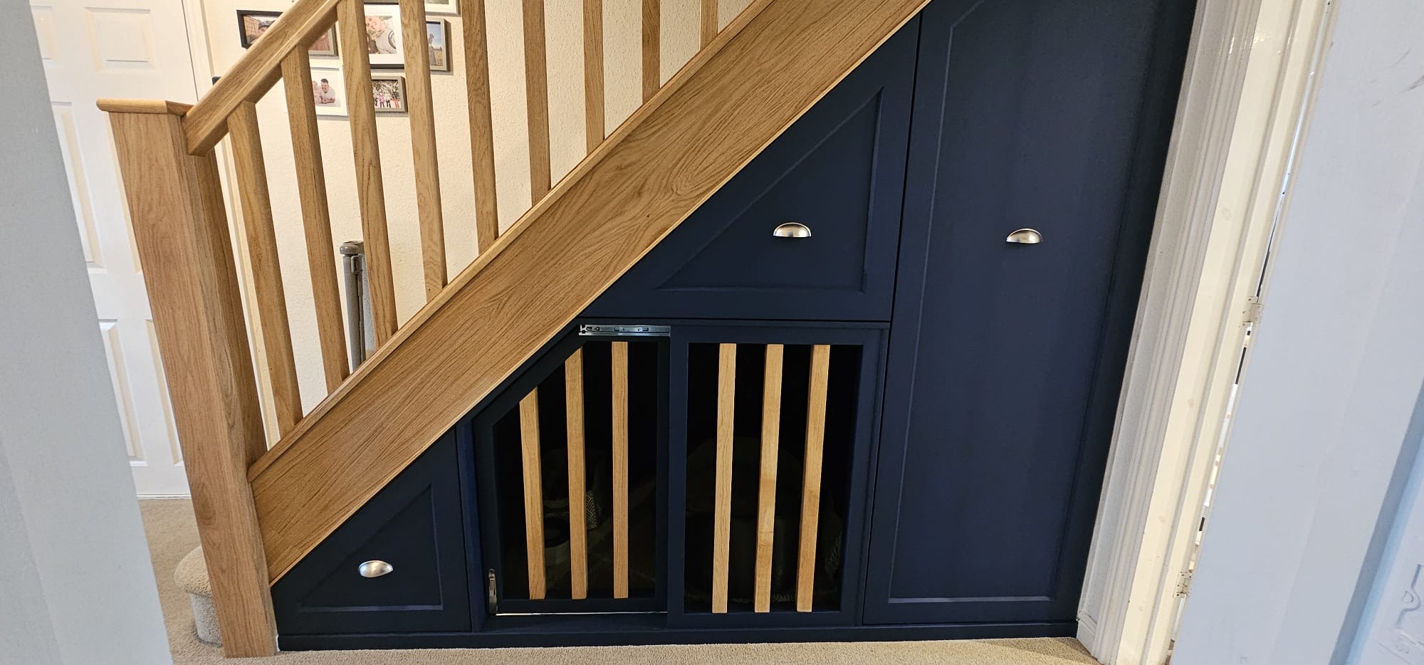Understair storage & dog bed