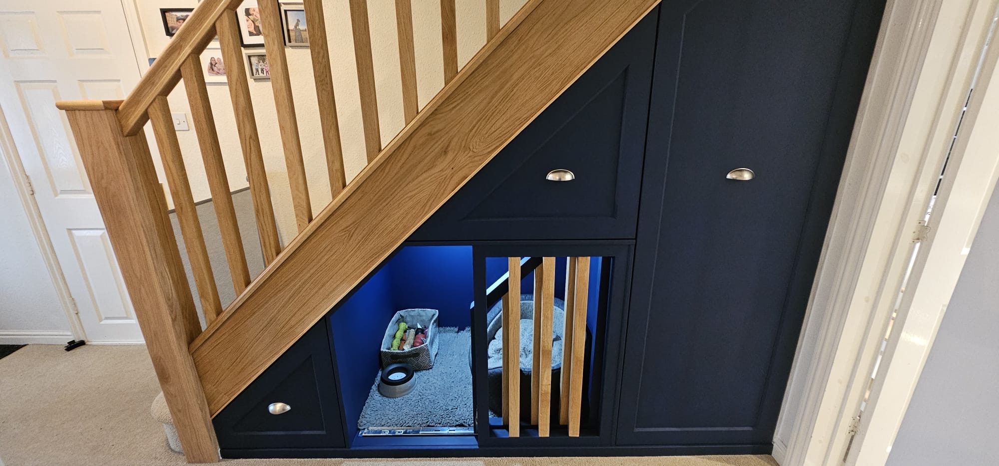 Understair storage & dog bed