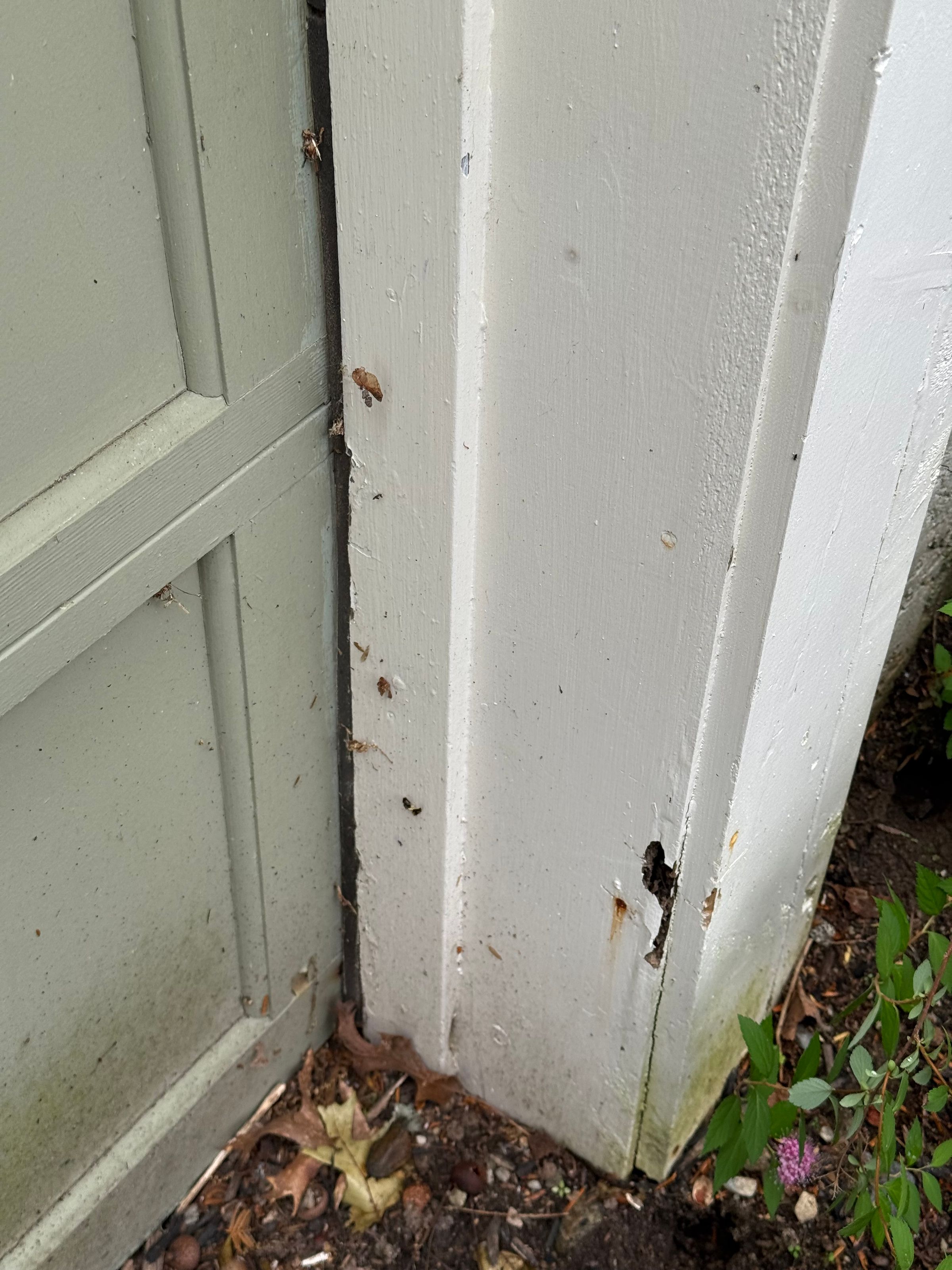 Raymond Home Solutions | Painting | Carpentry | Decks's image