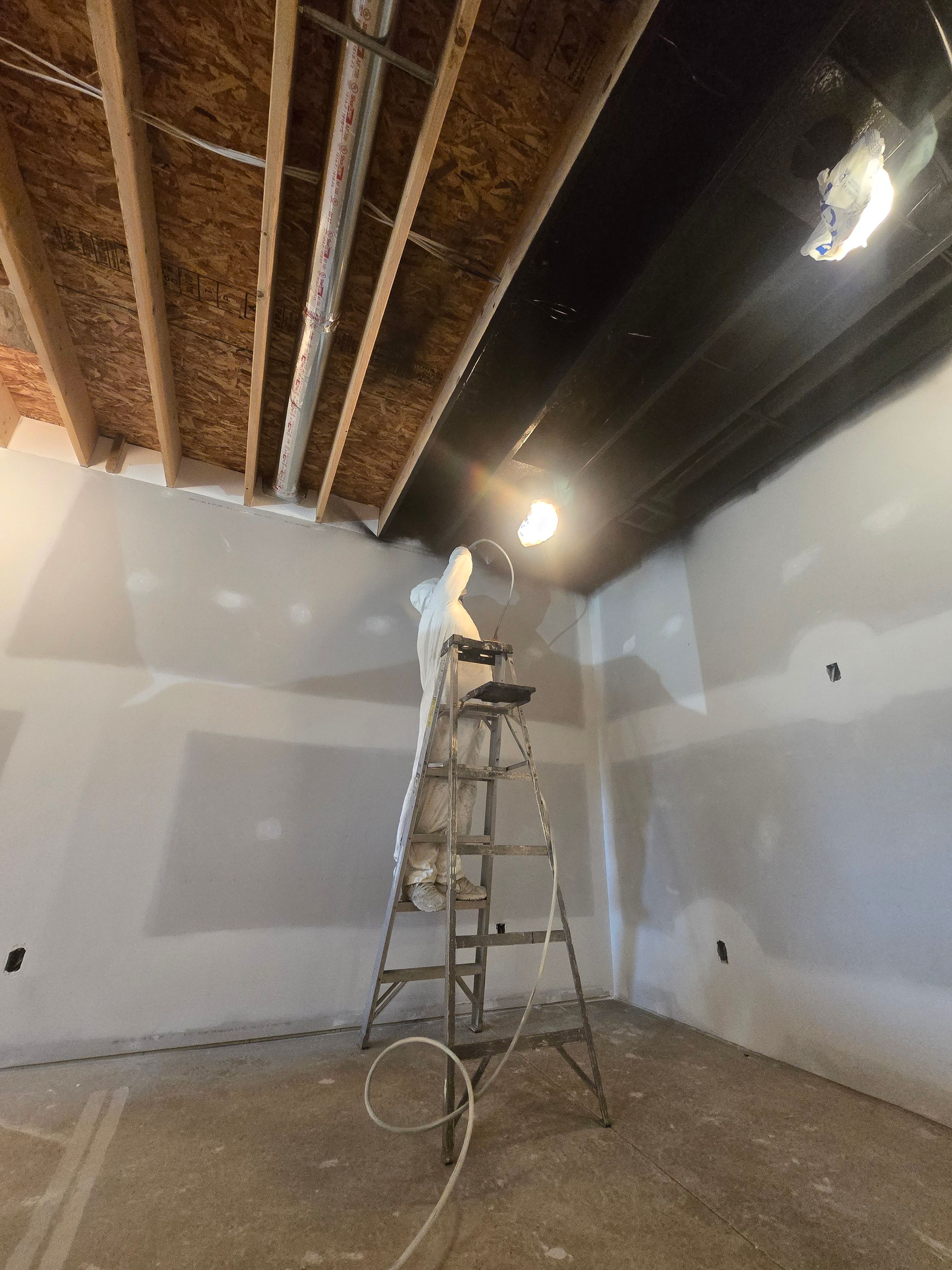 Pure Precisión Paint LLC's image
