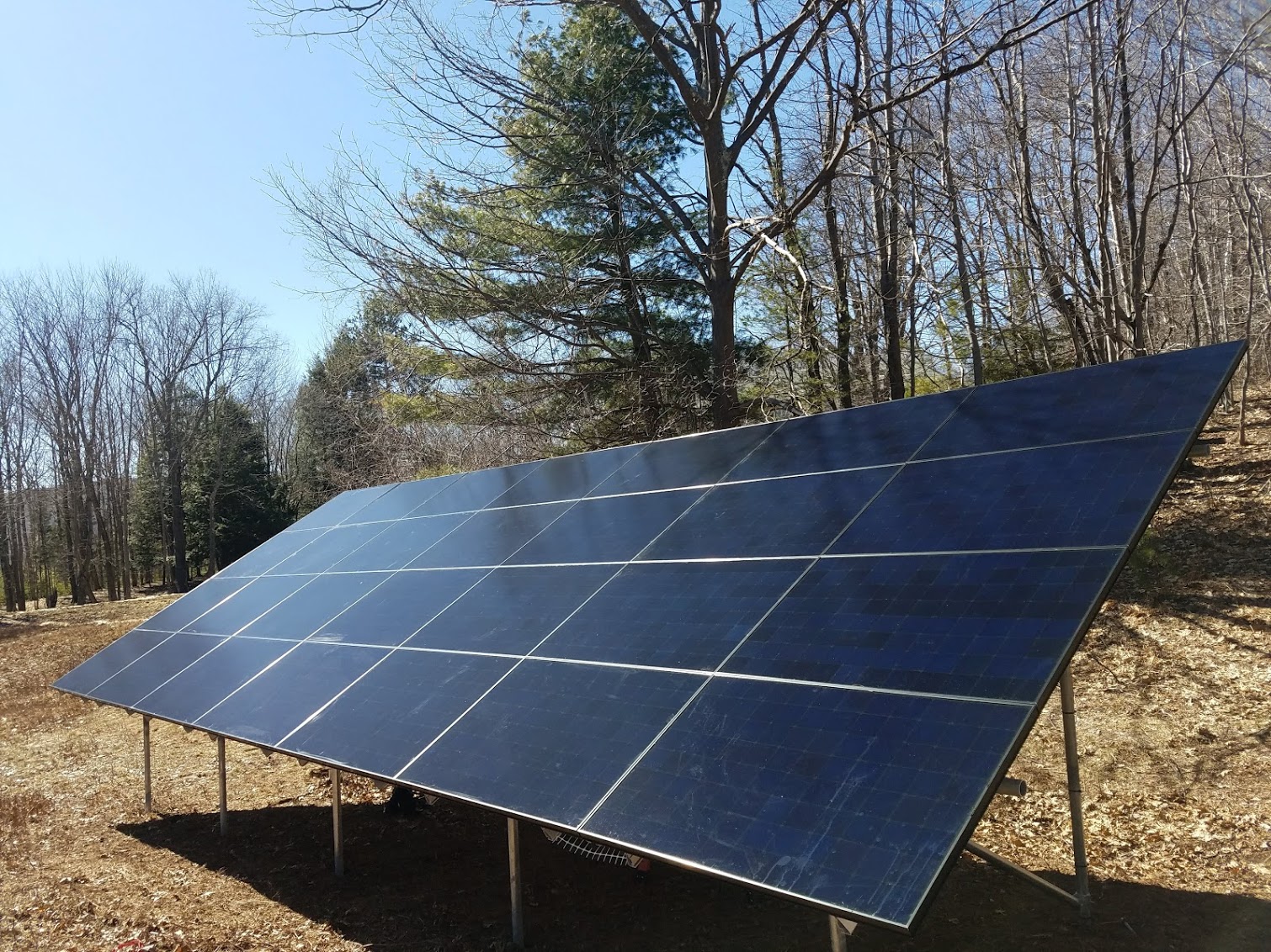 Countryman Can's image