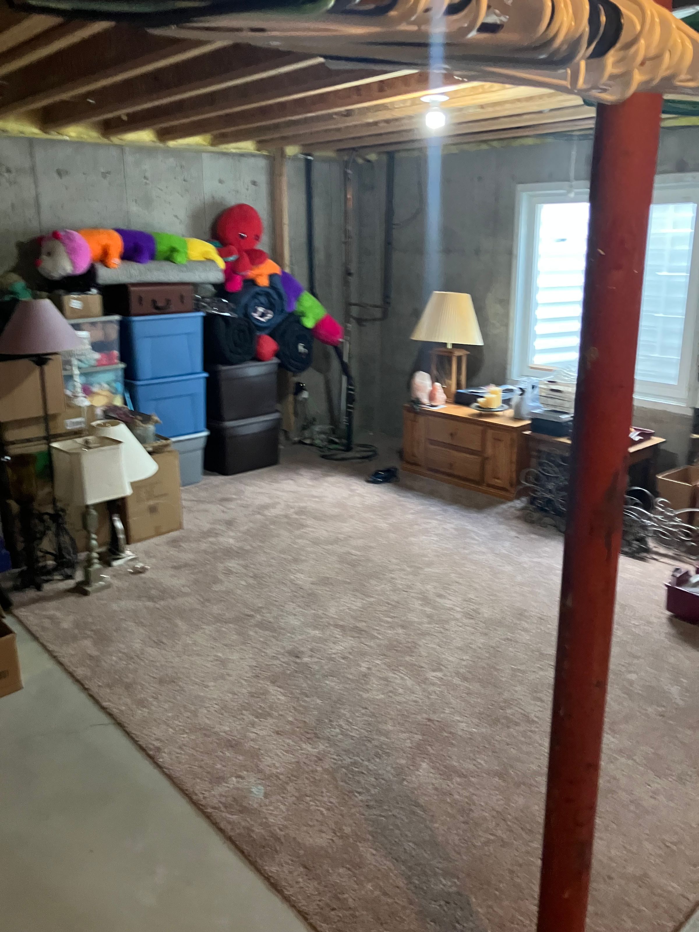 CTKW Basement Before