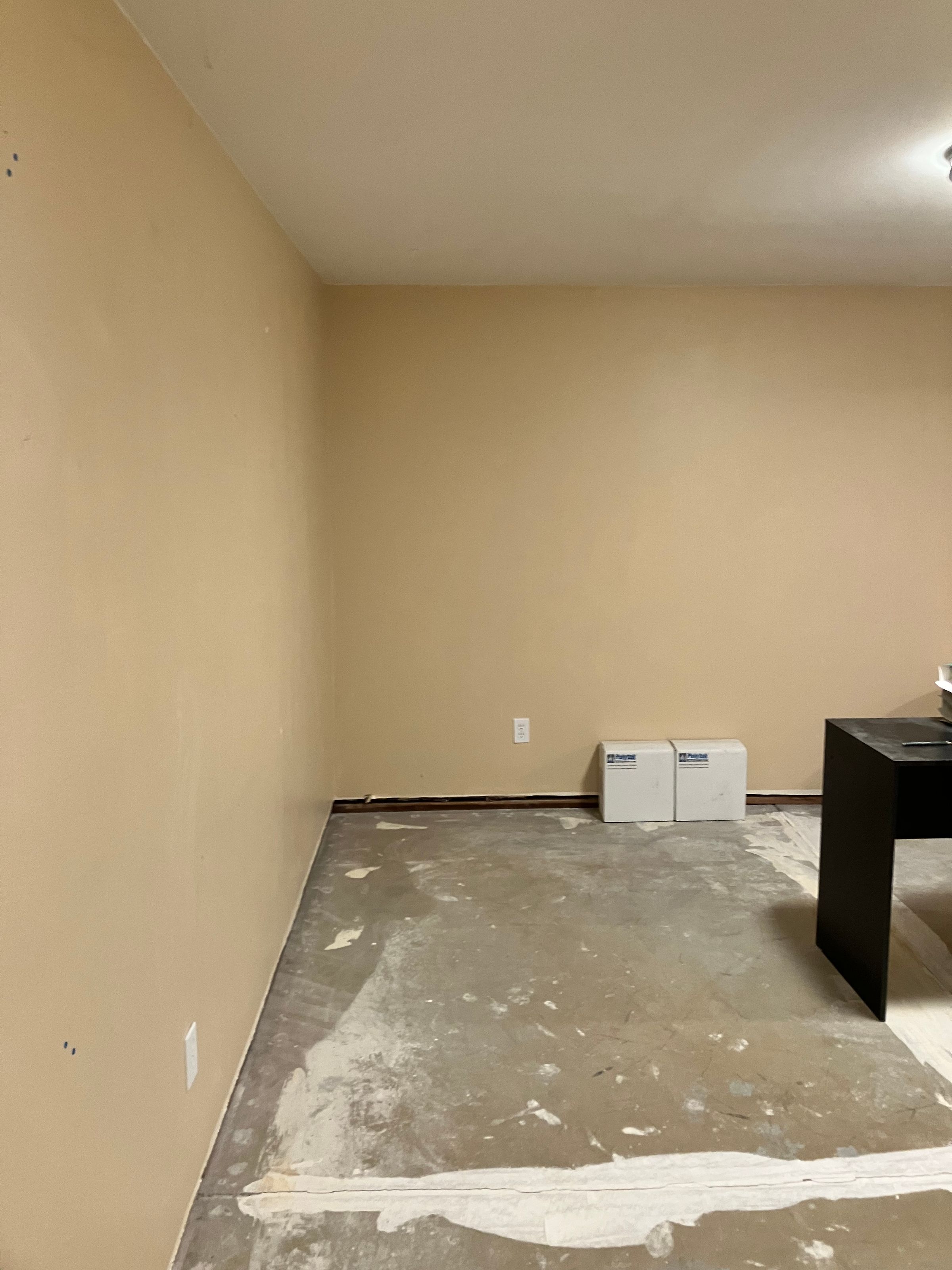 Basement Before Demo
