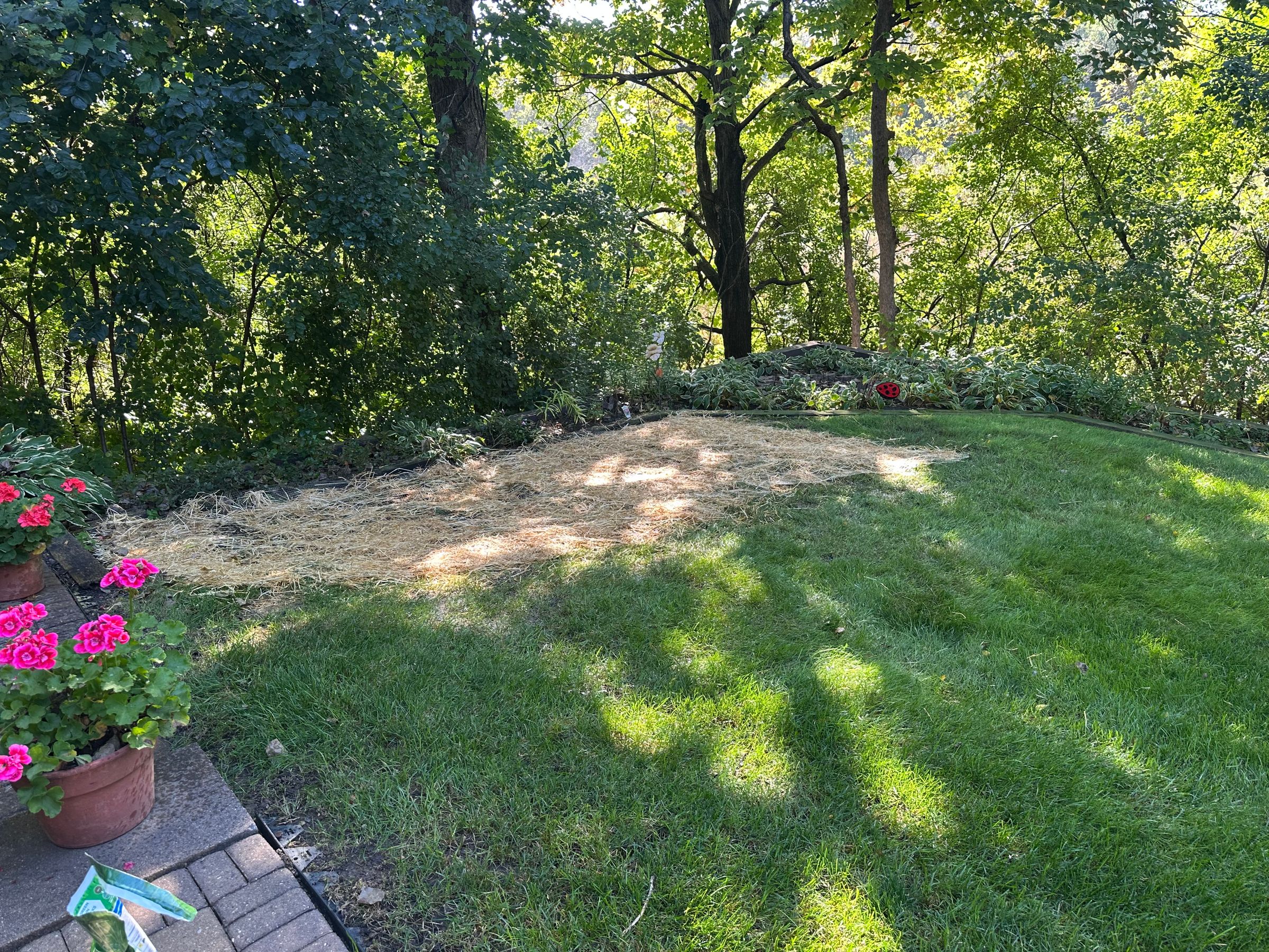 Norelius Lawn Care 's image