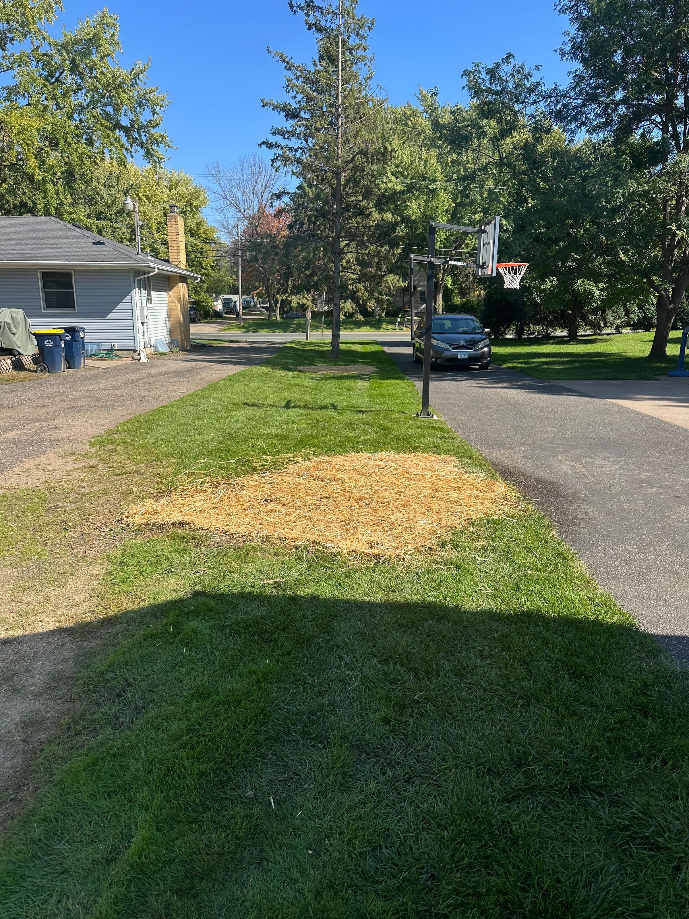 Norelius Lawn Care 's image