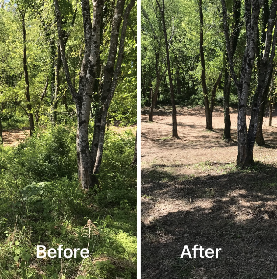 Norelius Lawn Care 's image