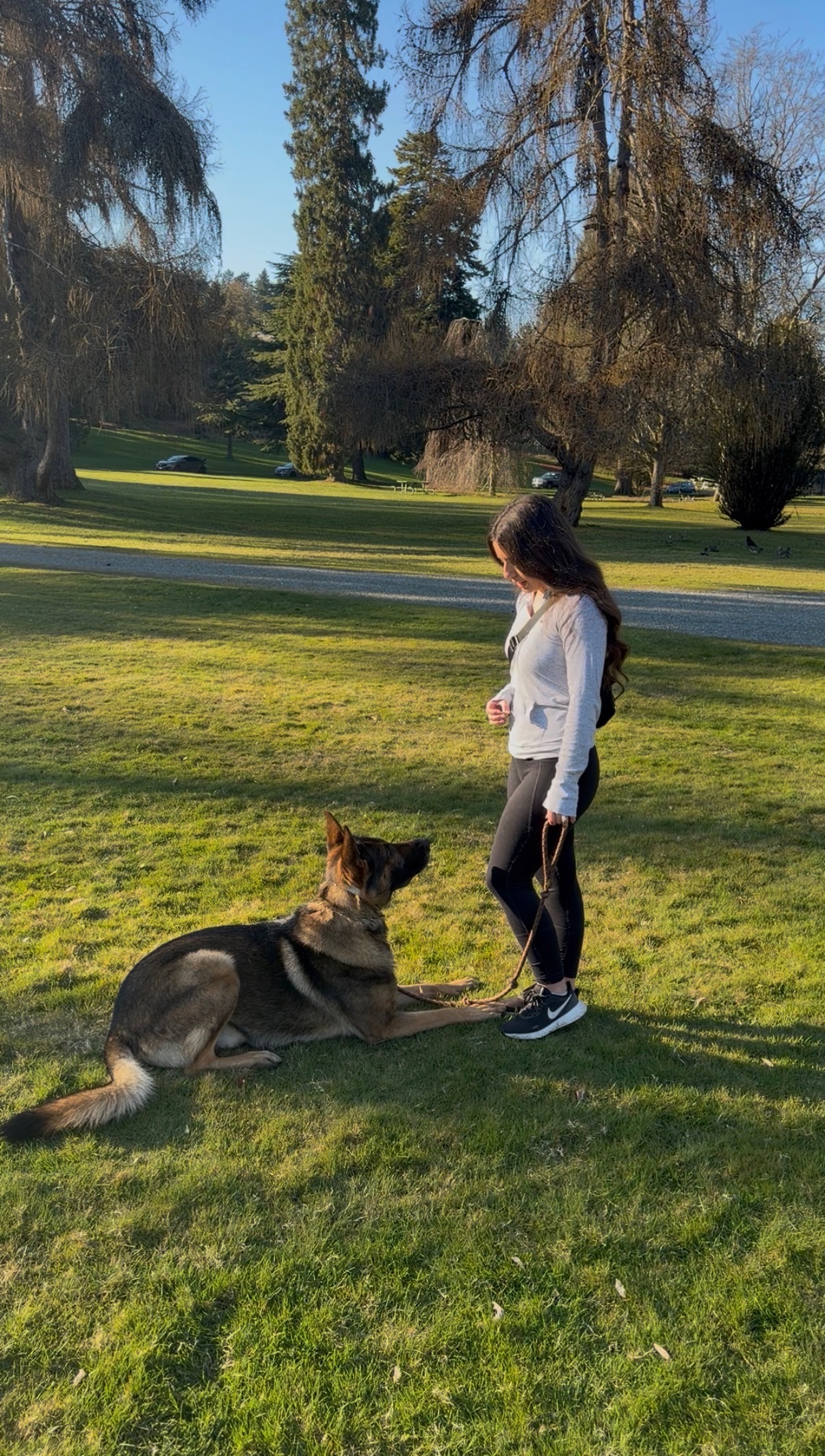 Canine SolutionsLLC's image