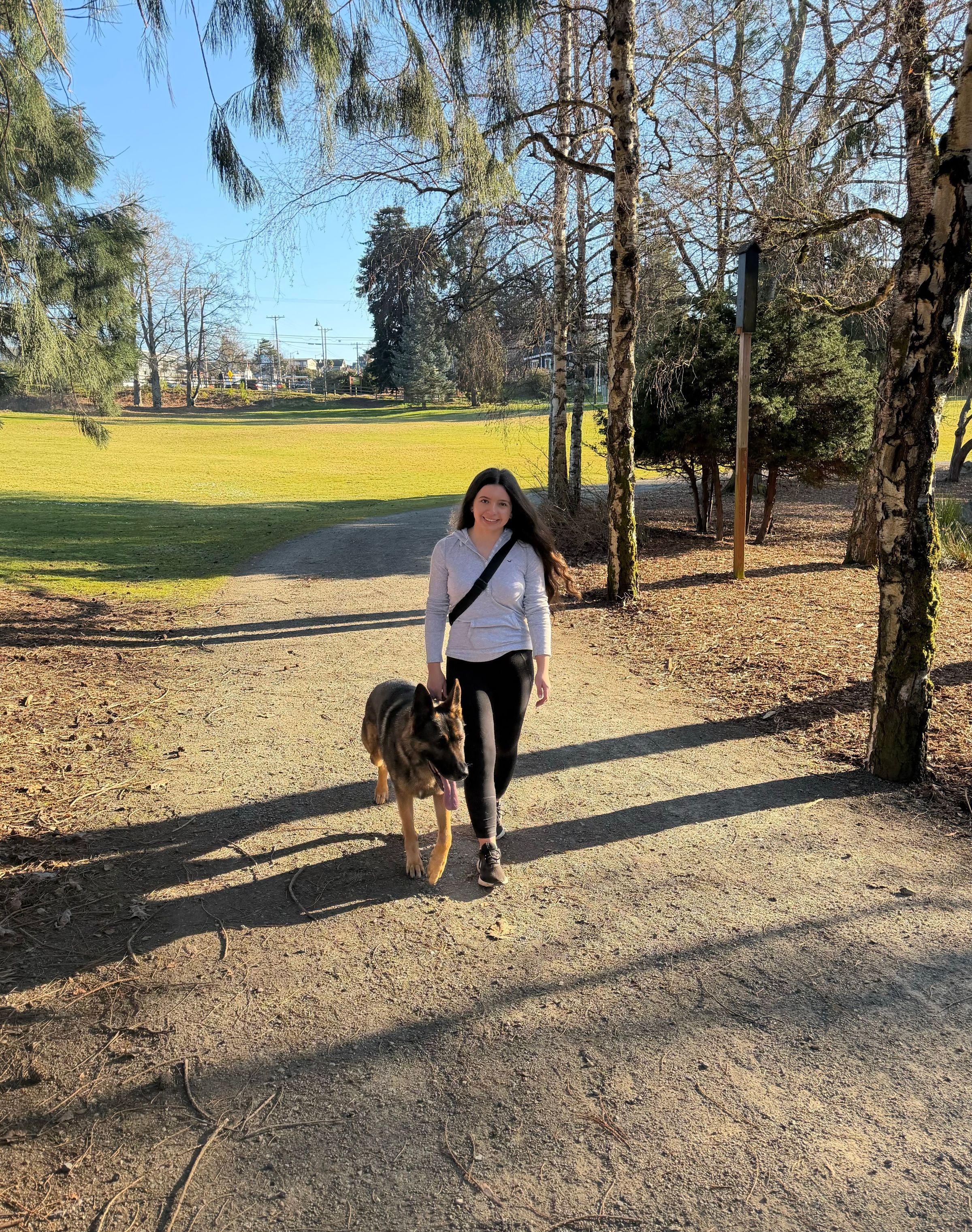 Canine SolutionsLLC's image