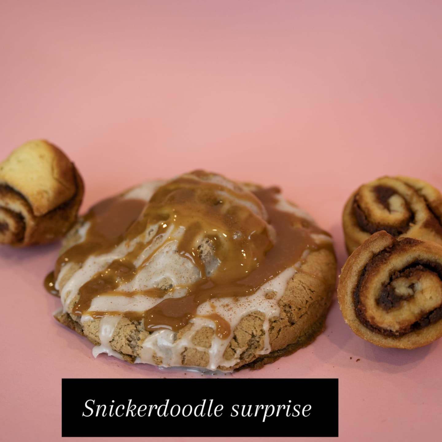 Snickerdoodle surprise 