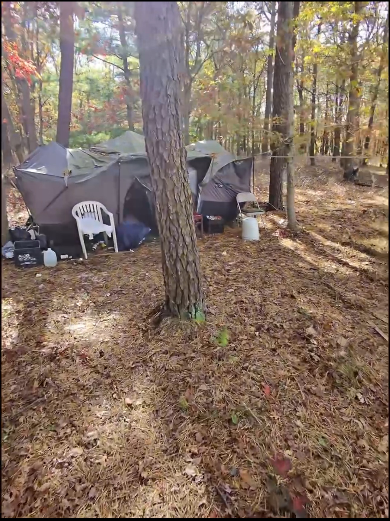 Oasis Outreach's image