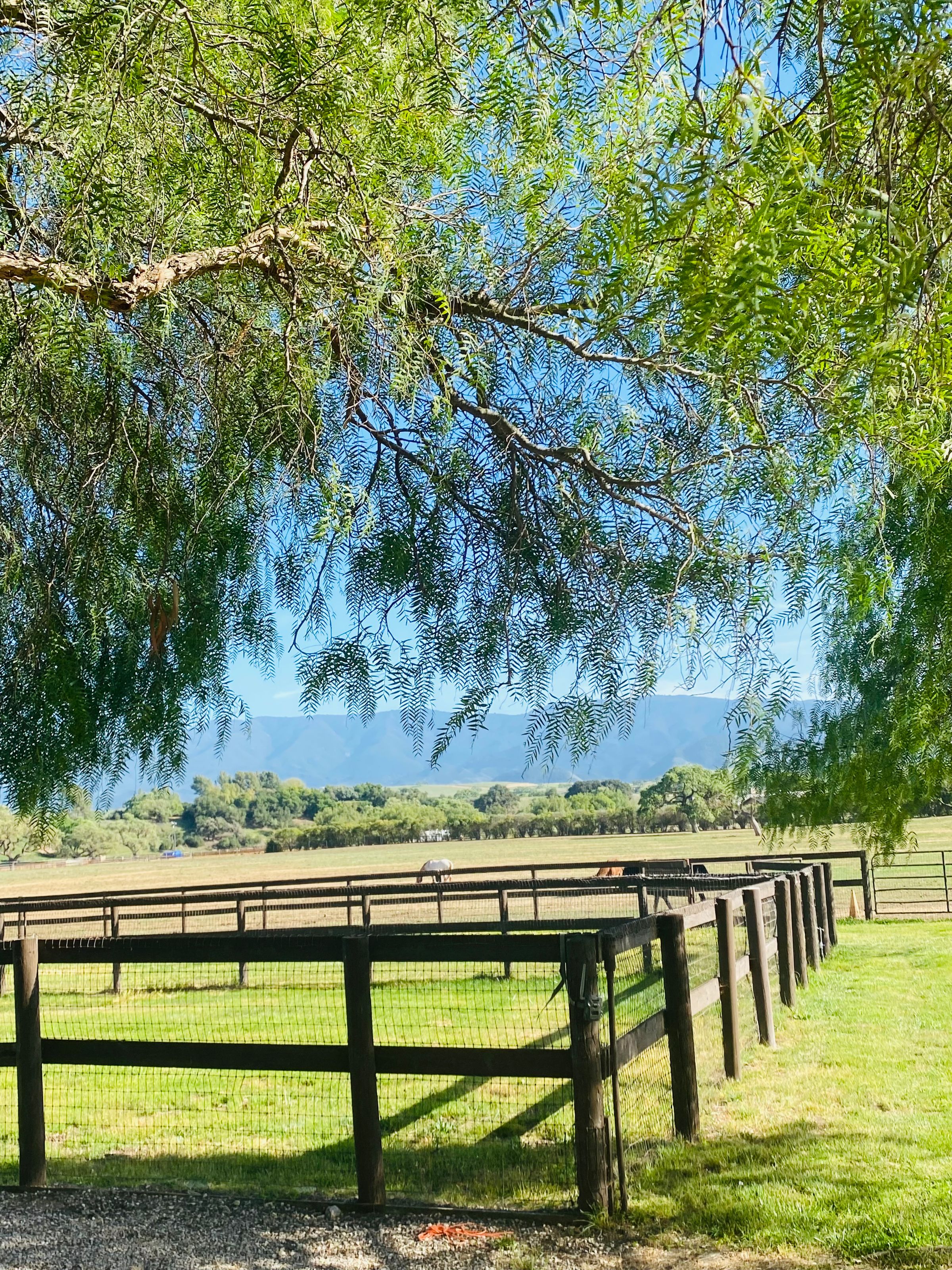 Equestrian Resort's image