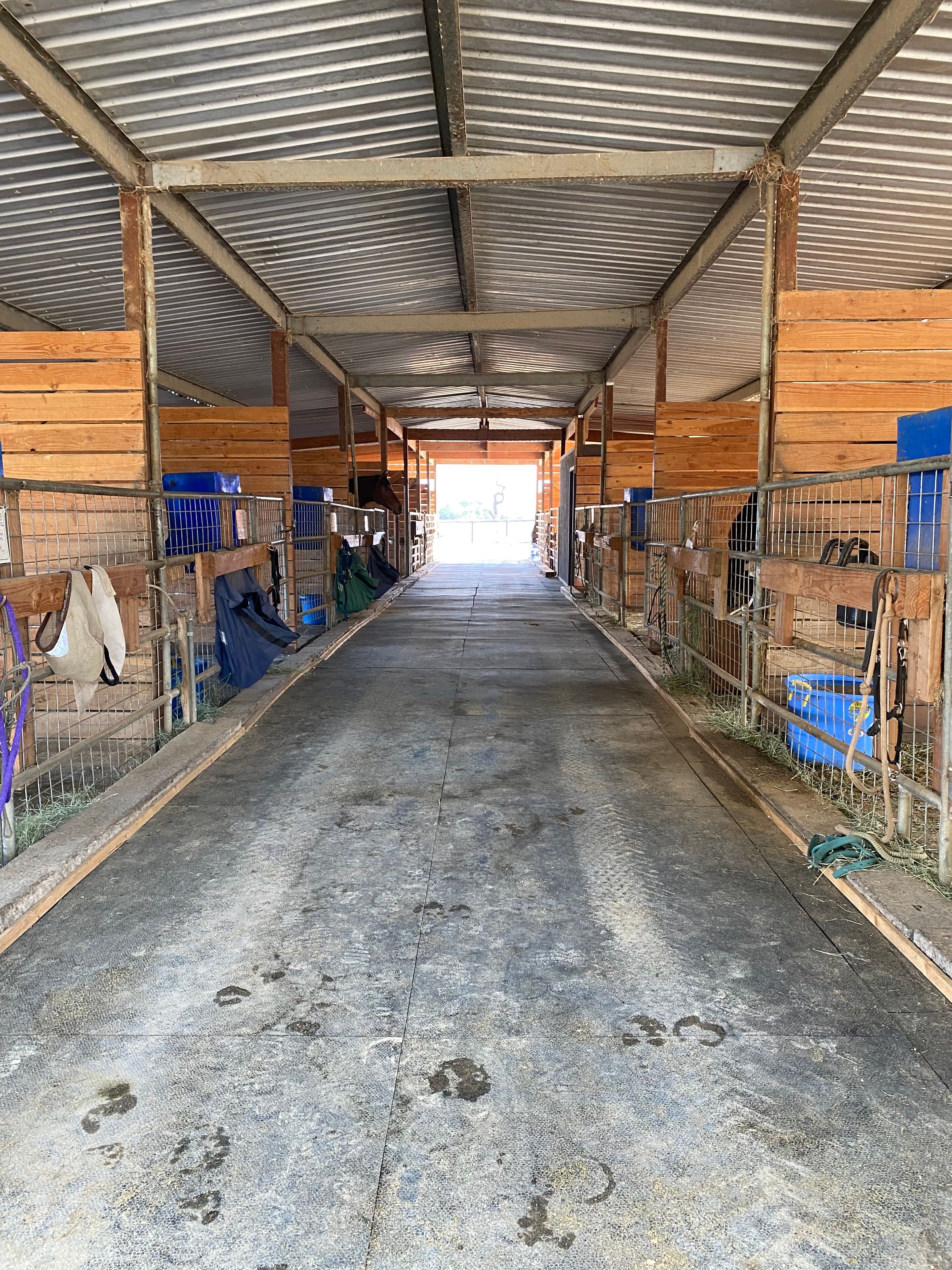 Equestrian Resort's image