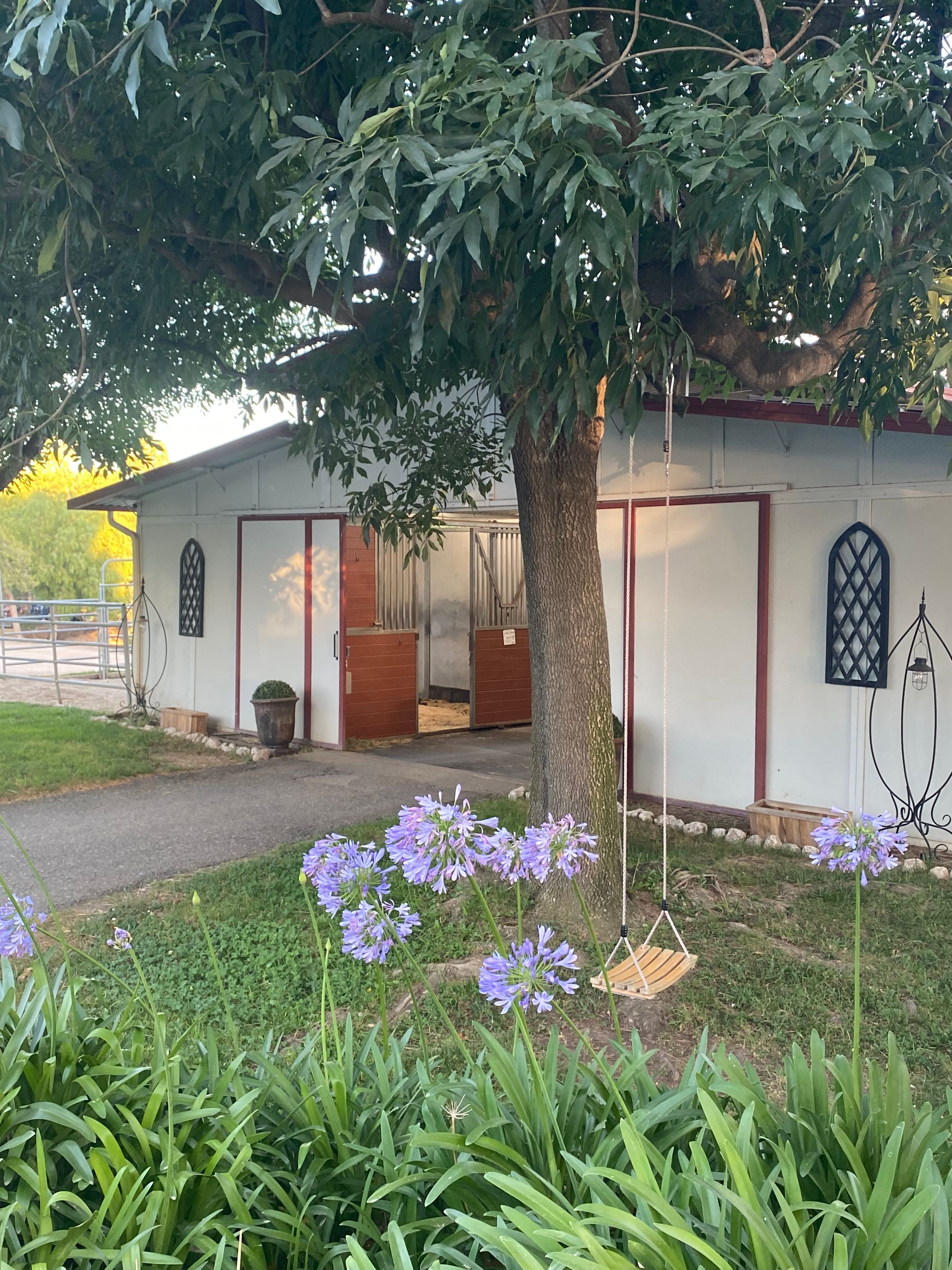 Equestrian Resort's image