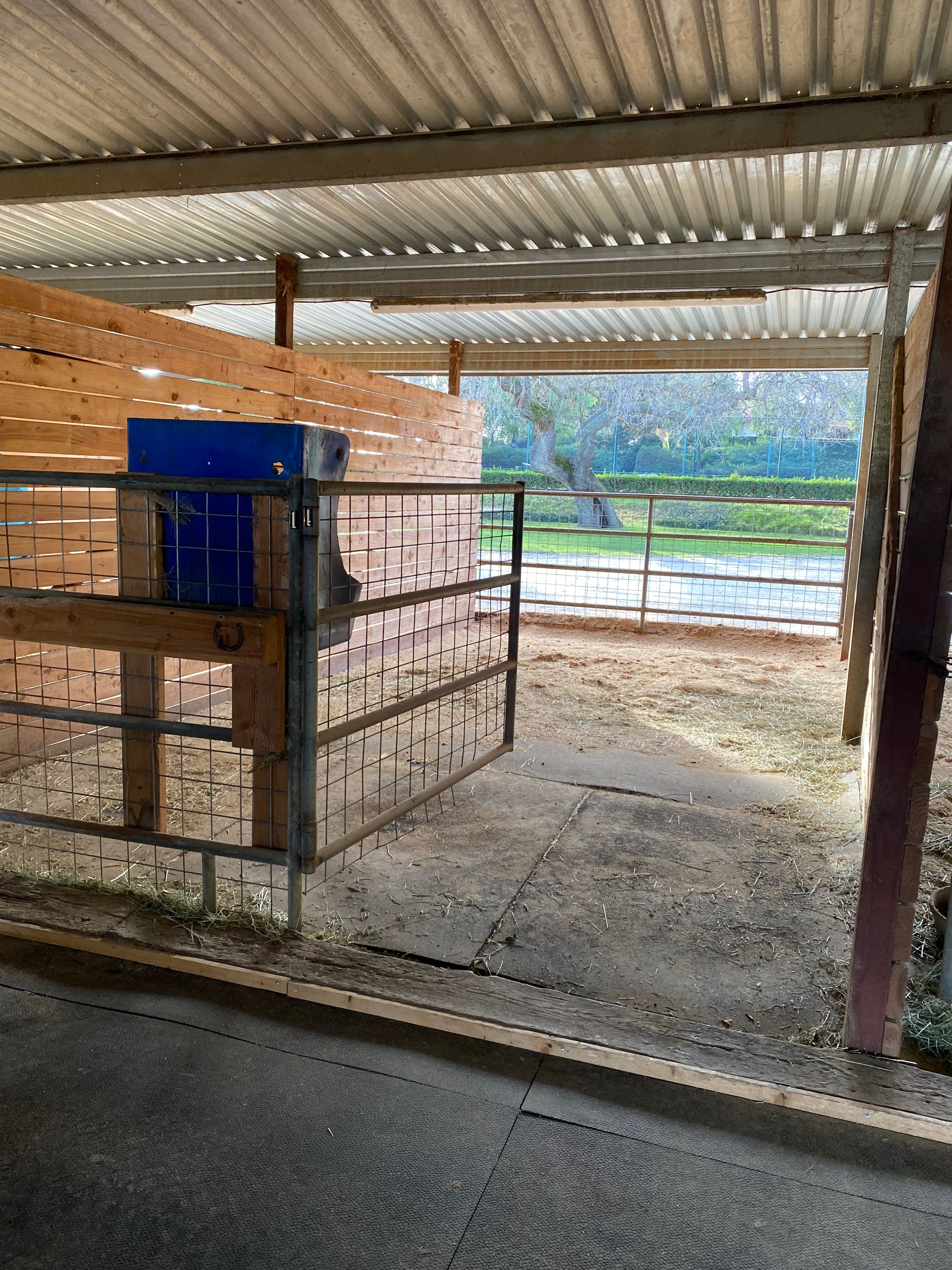 Equestrian Resort's image