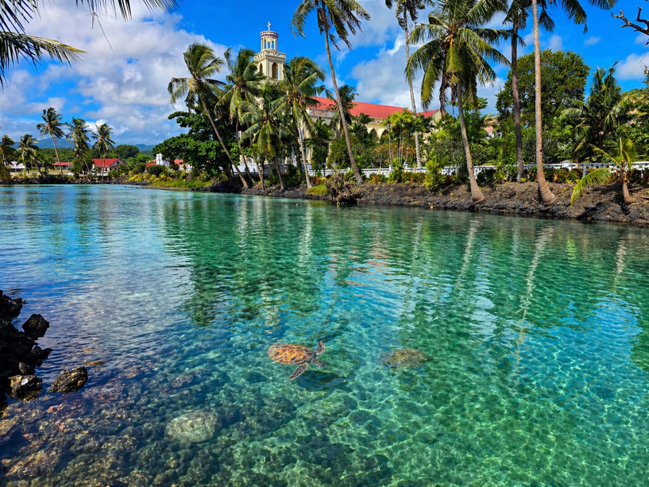 Giant Clam & Snorkeling Tour - Savaia Lefega
