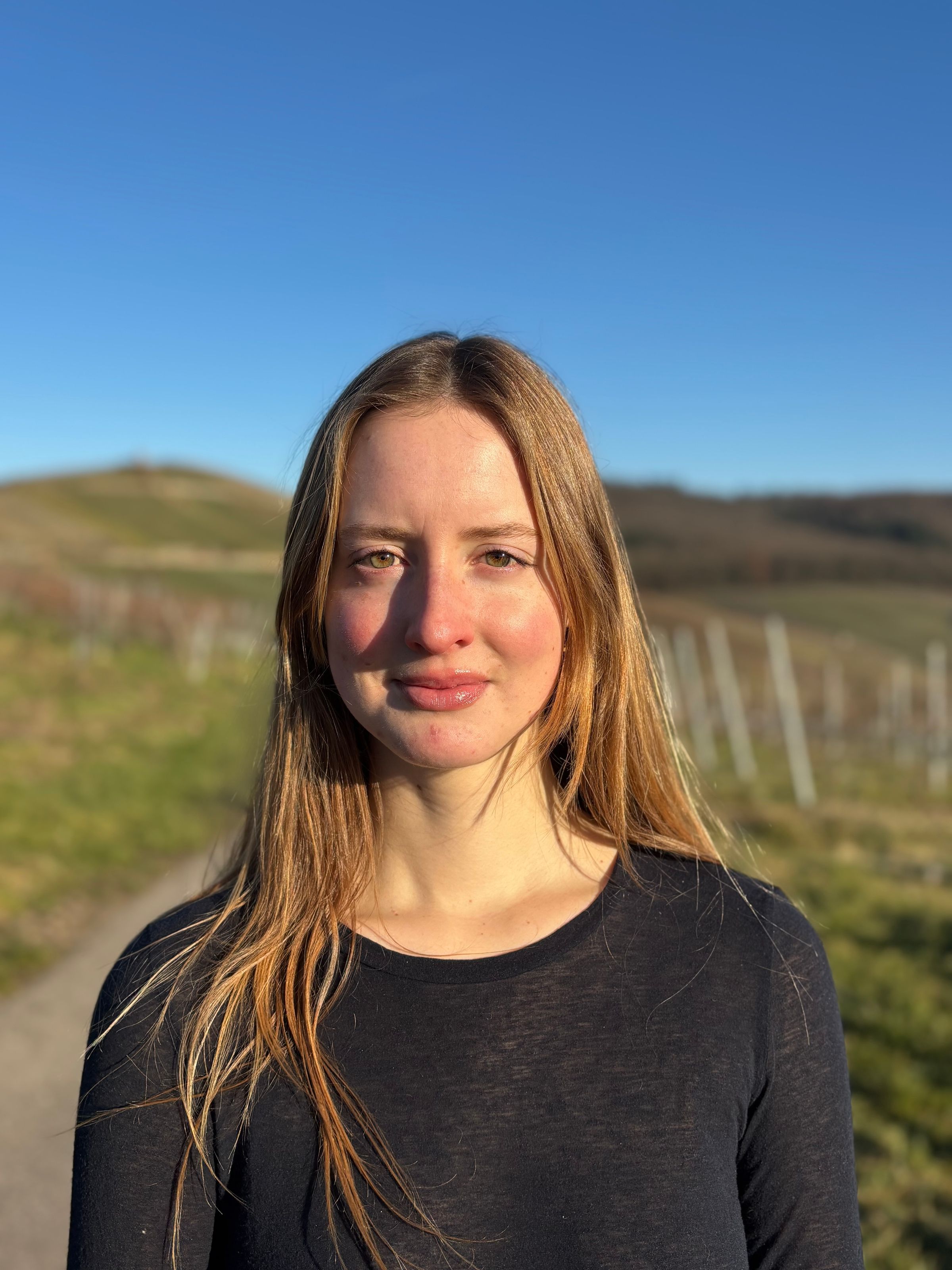 VIBE Integrated Health 's image