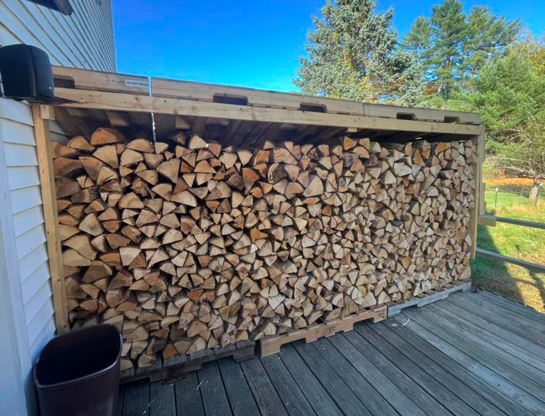 Shae Stacks Wood's image