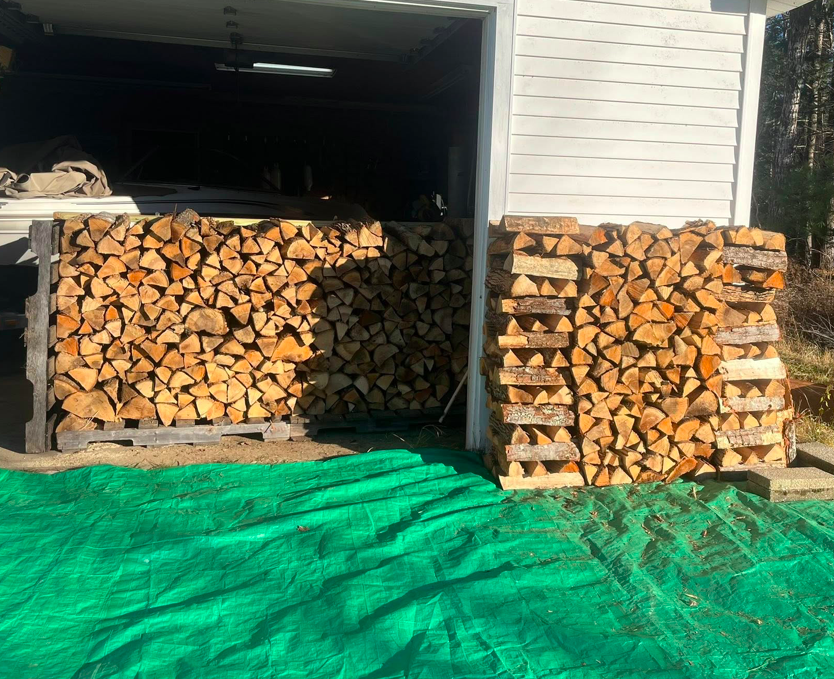 Shae Stacks Wood's image