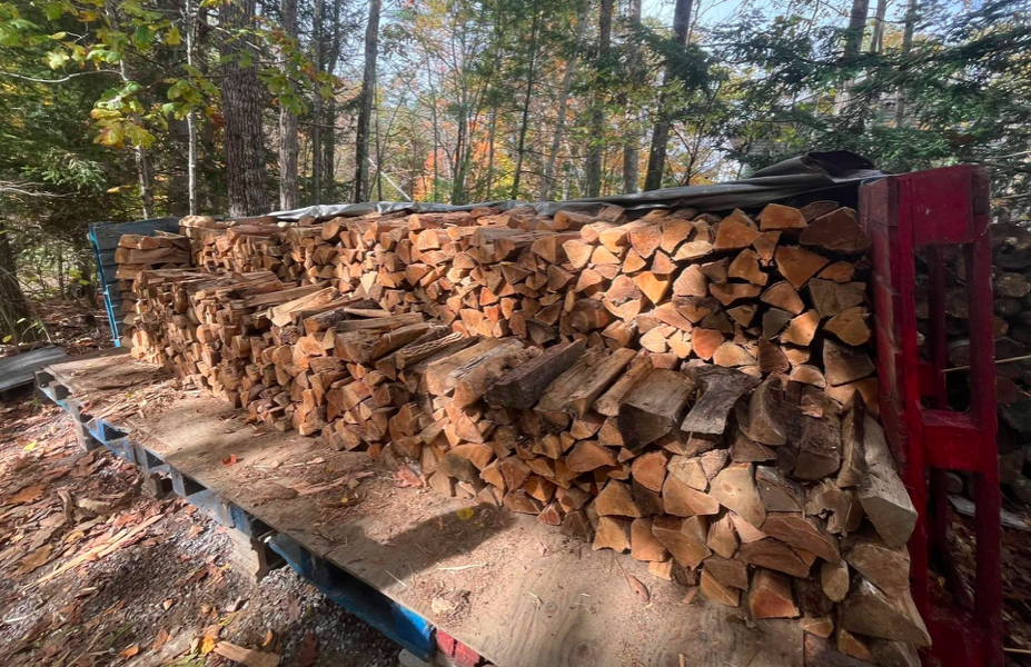 Shae Stacks Wood's image