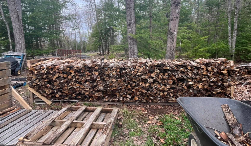 Shae Stacks Wood's image