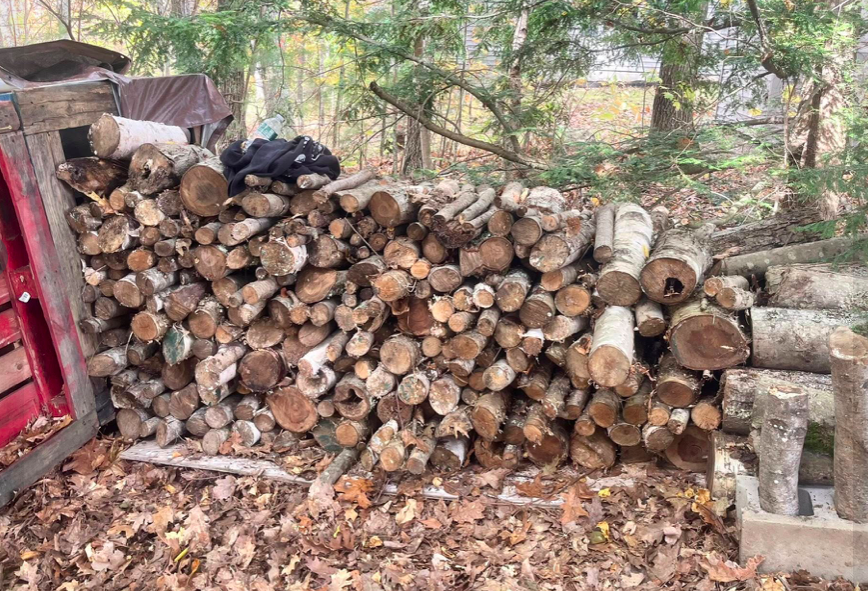 Shae Stacks Wood's image