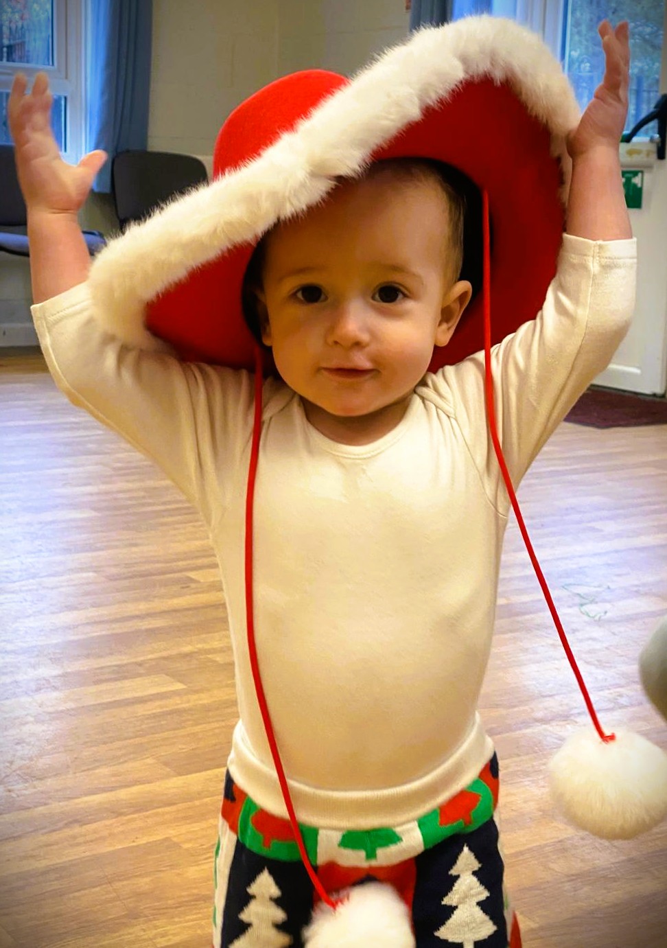 Baby Barn Dance 's image